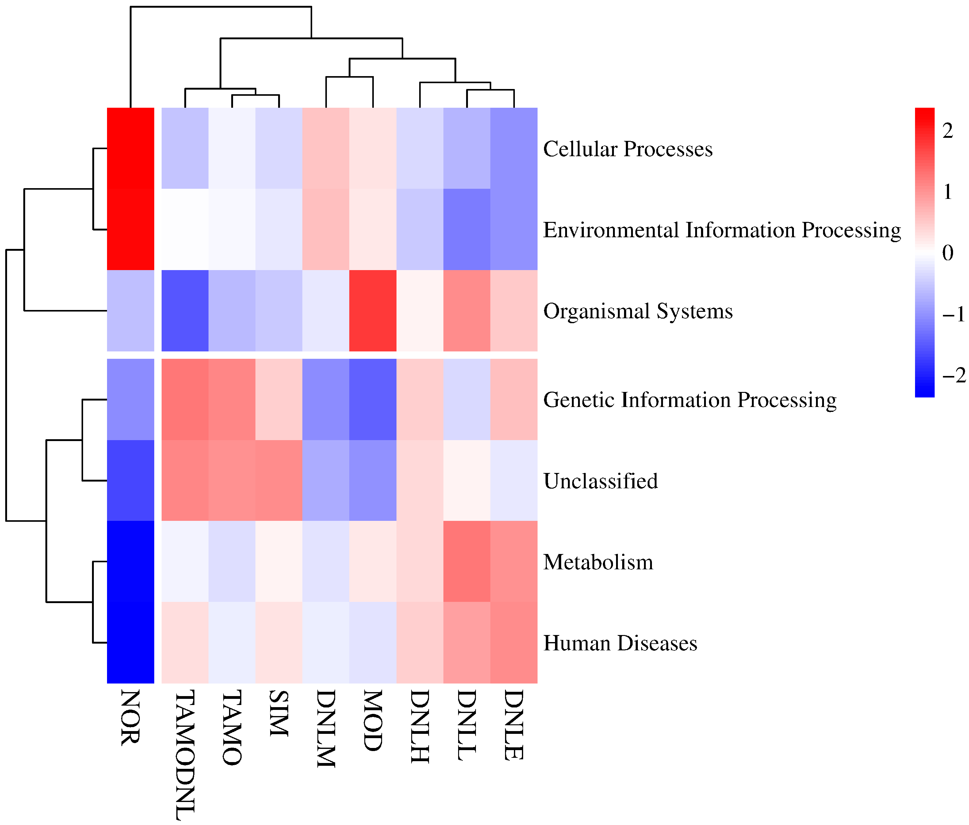 Pharmaceutics 16 01483 g016
