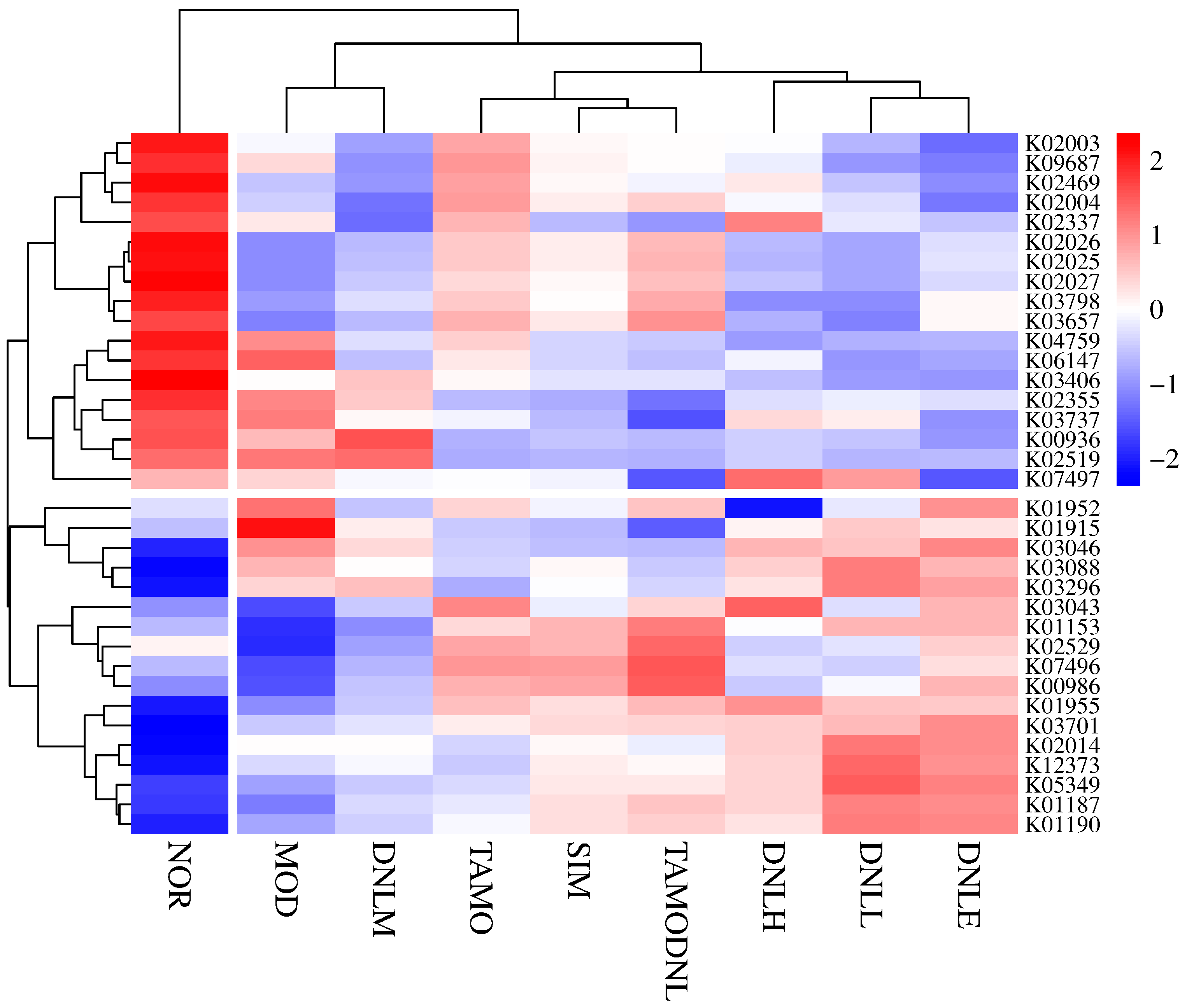 Pharmaceutics 16 01483 g019