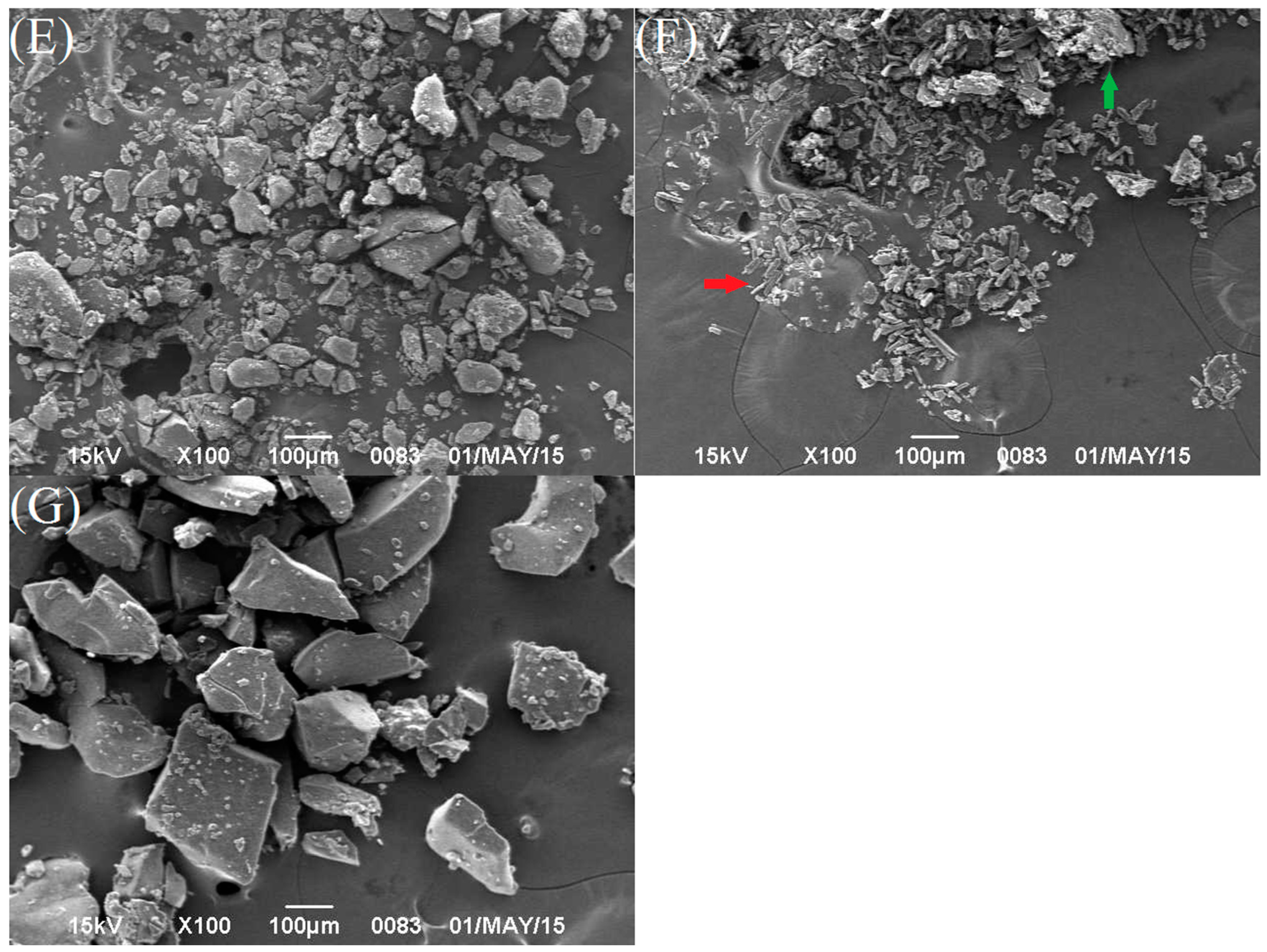Pharmaceutics 16 01488 g004b