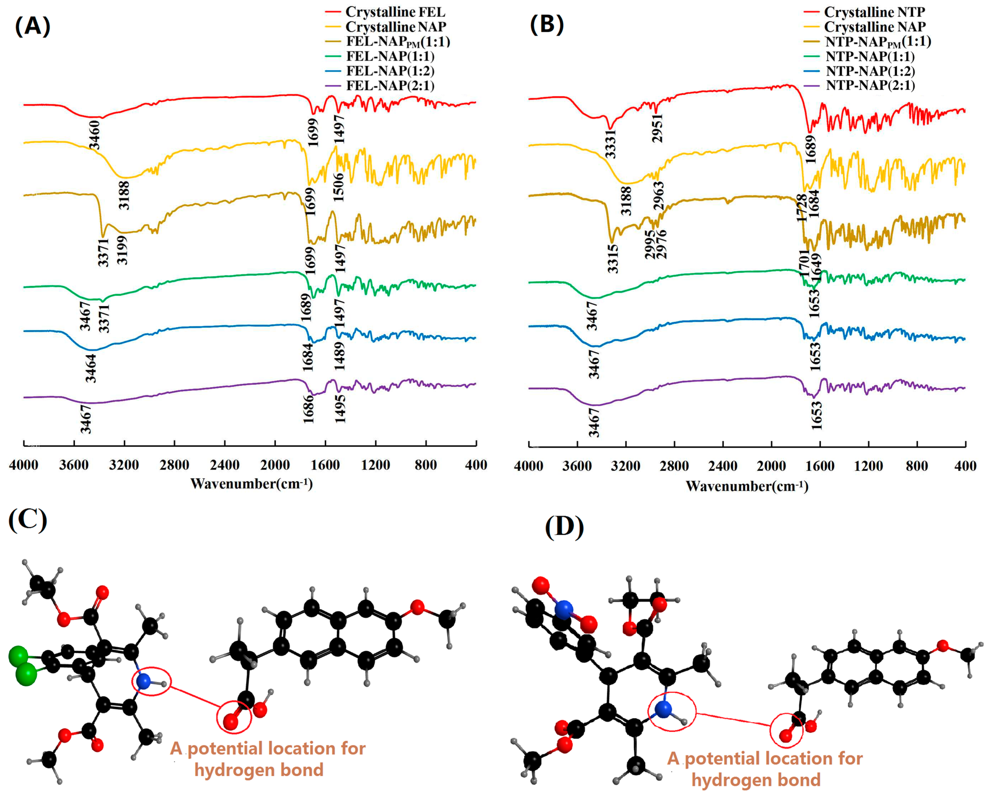 Pharmaceutics 16 01488 g006