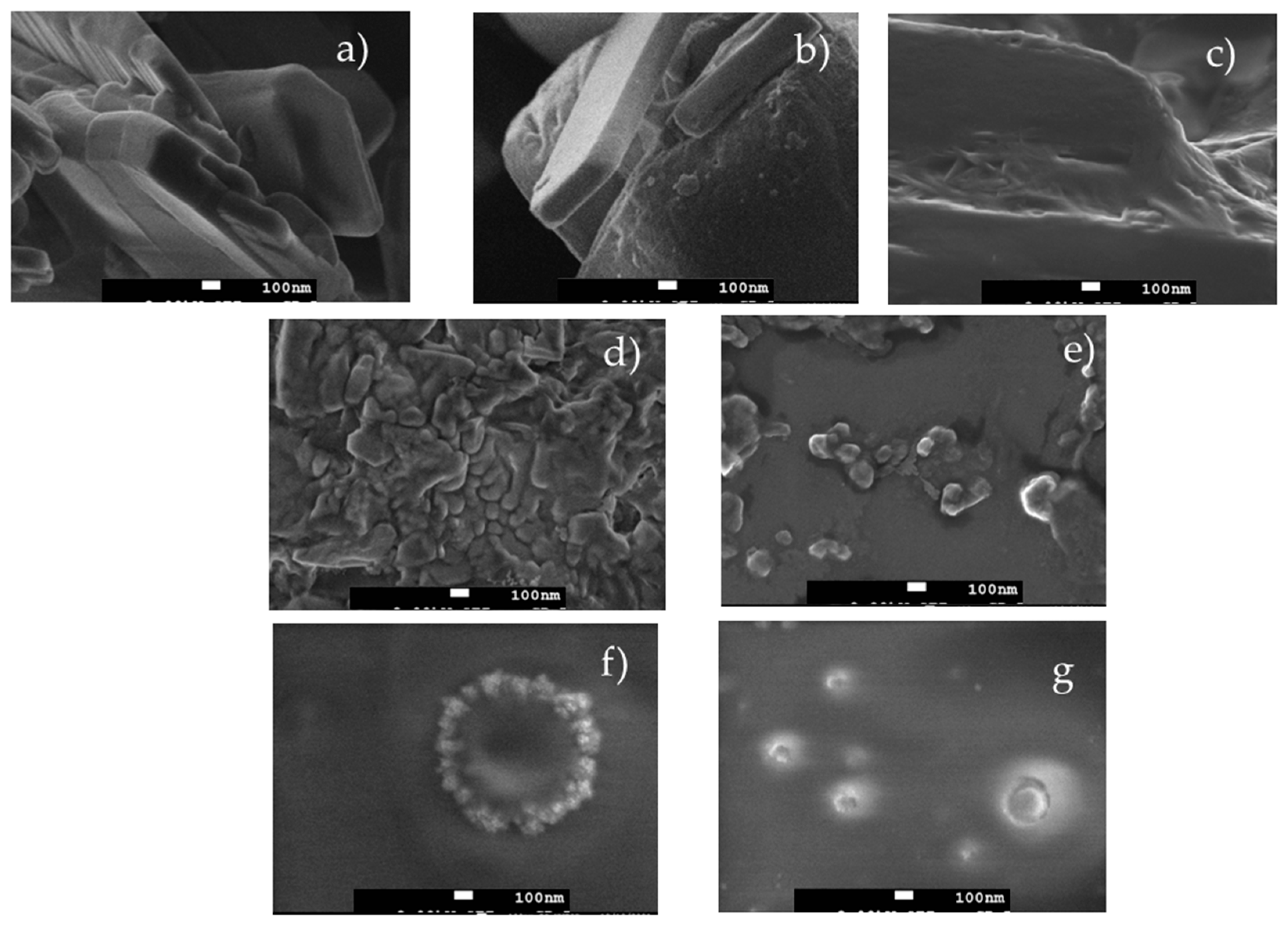 Pharmaceutics 16 01489 g010