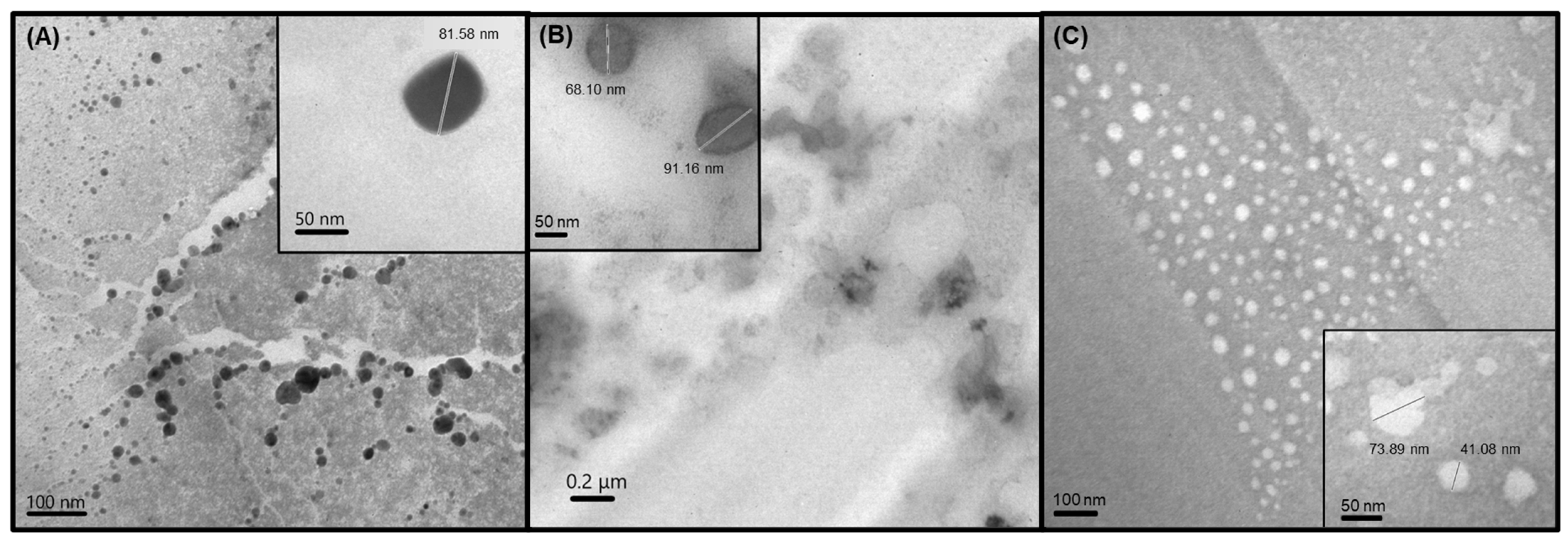 Pharmaceutics 16 01490 g002