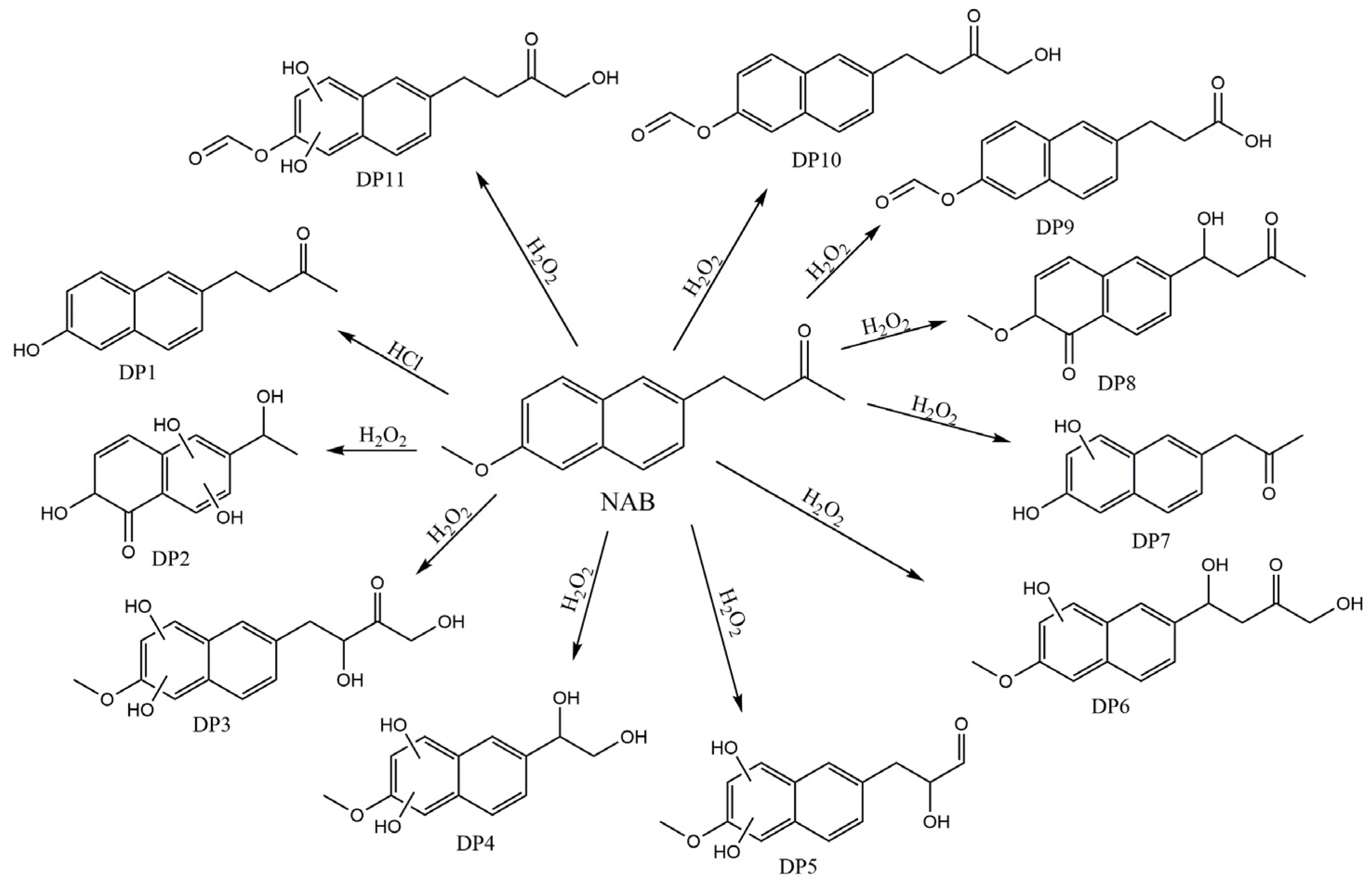 Pharmaceutics 16 01493 g008