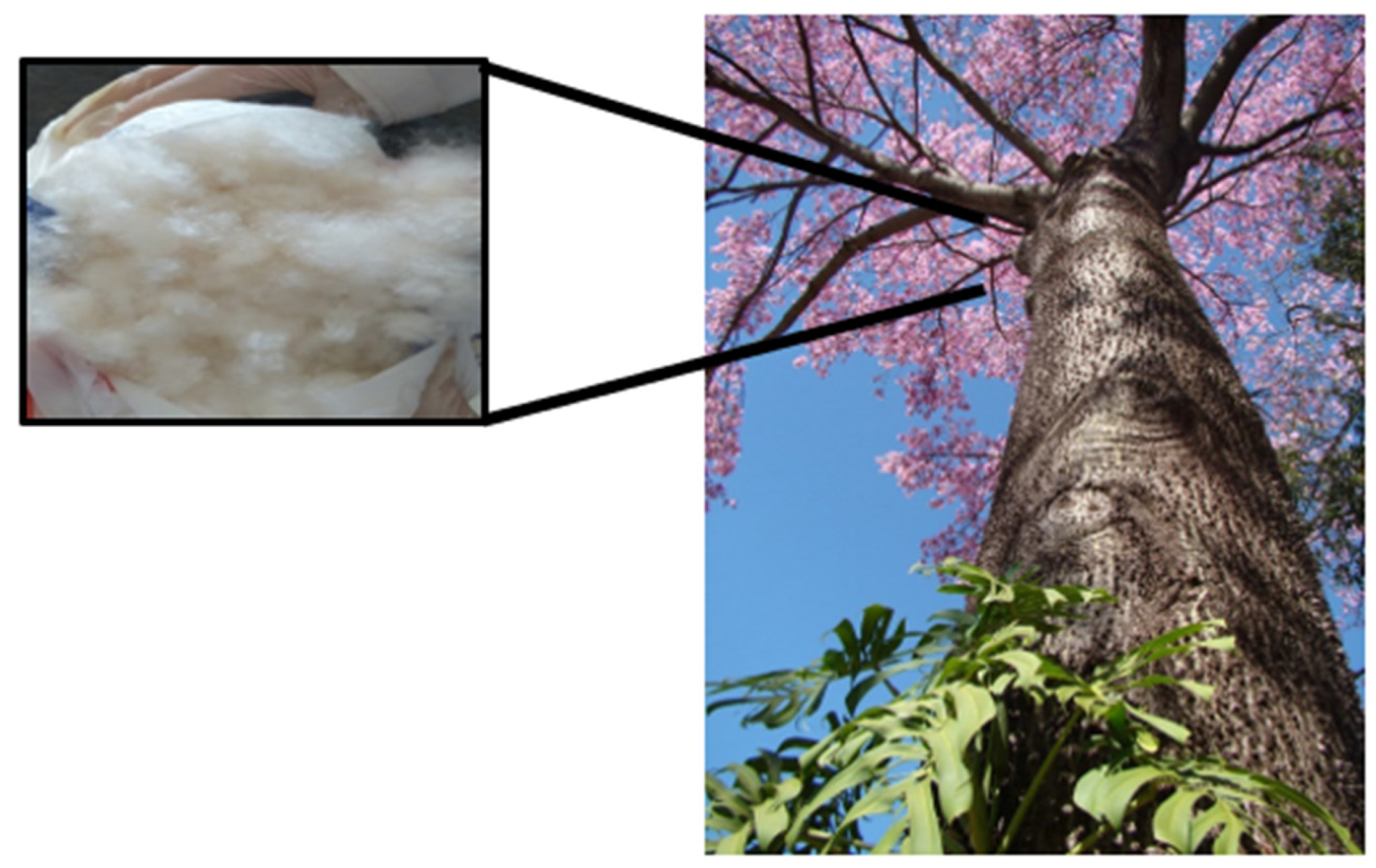 Pharmaceutics 16 01500 g001