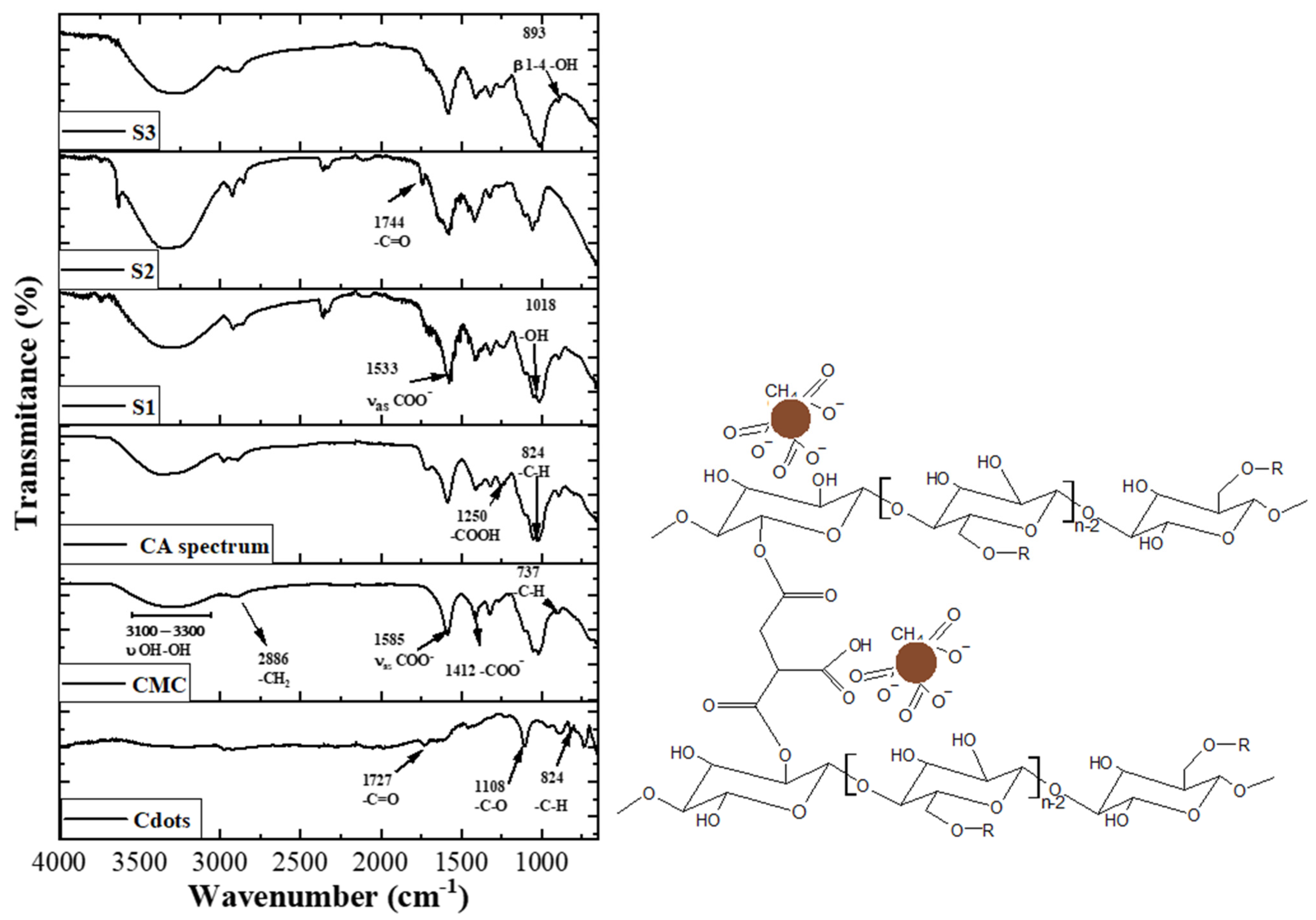 Pharmaceutics 16 01500 g003