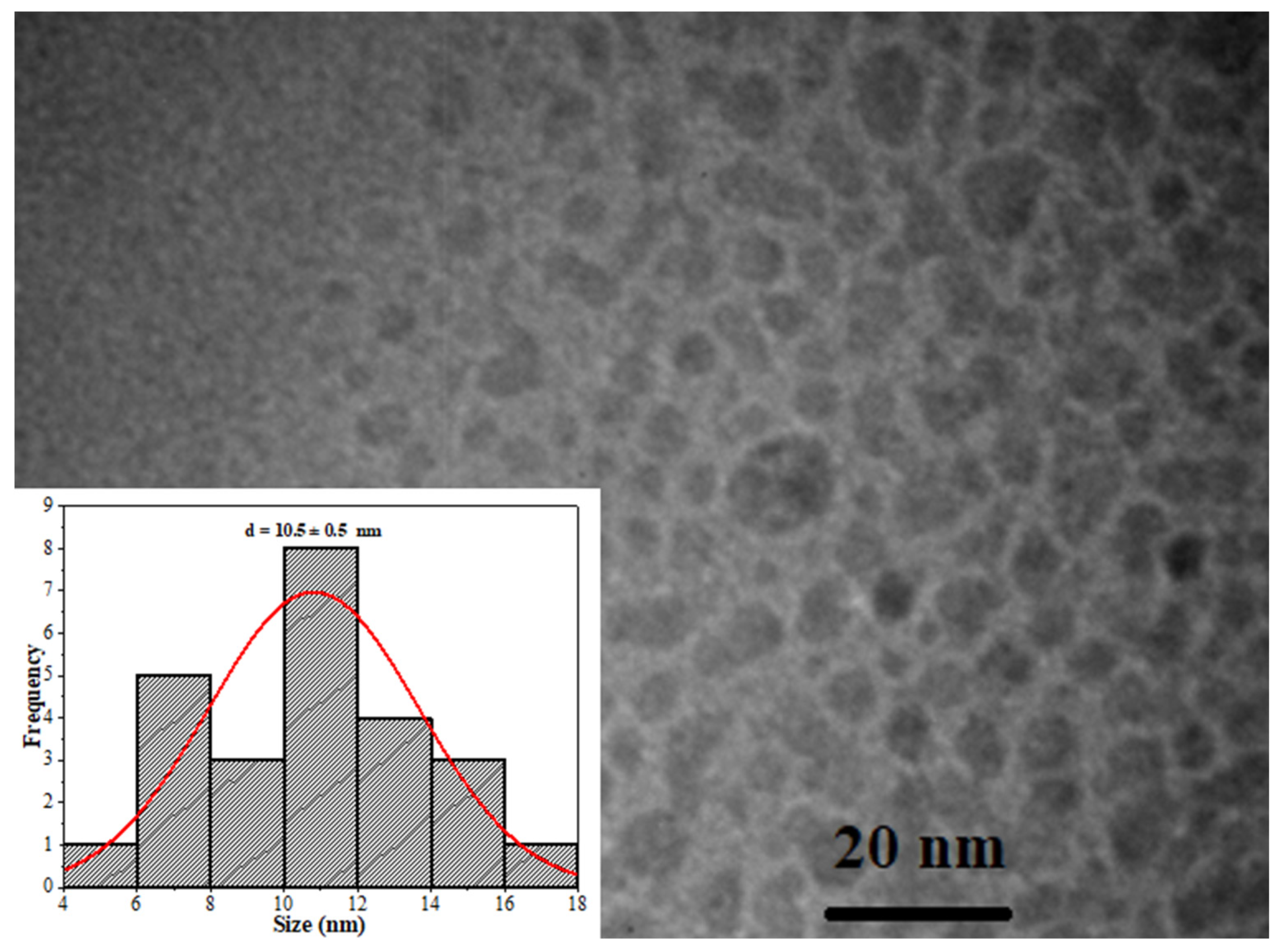Pharmaceutics 16 01500 g007