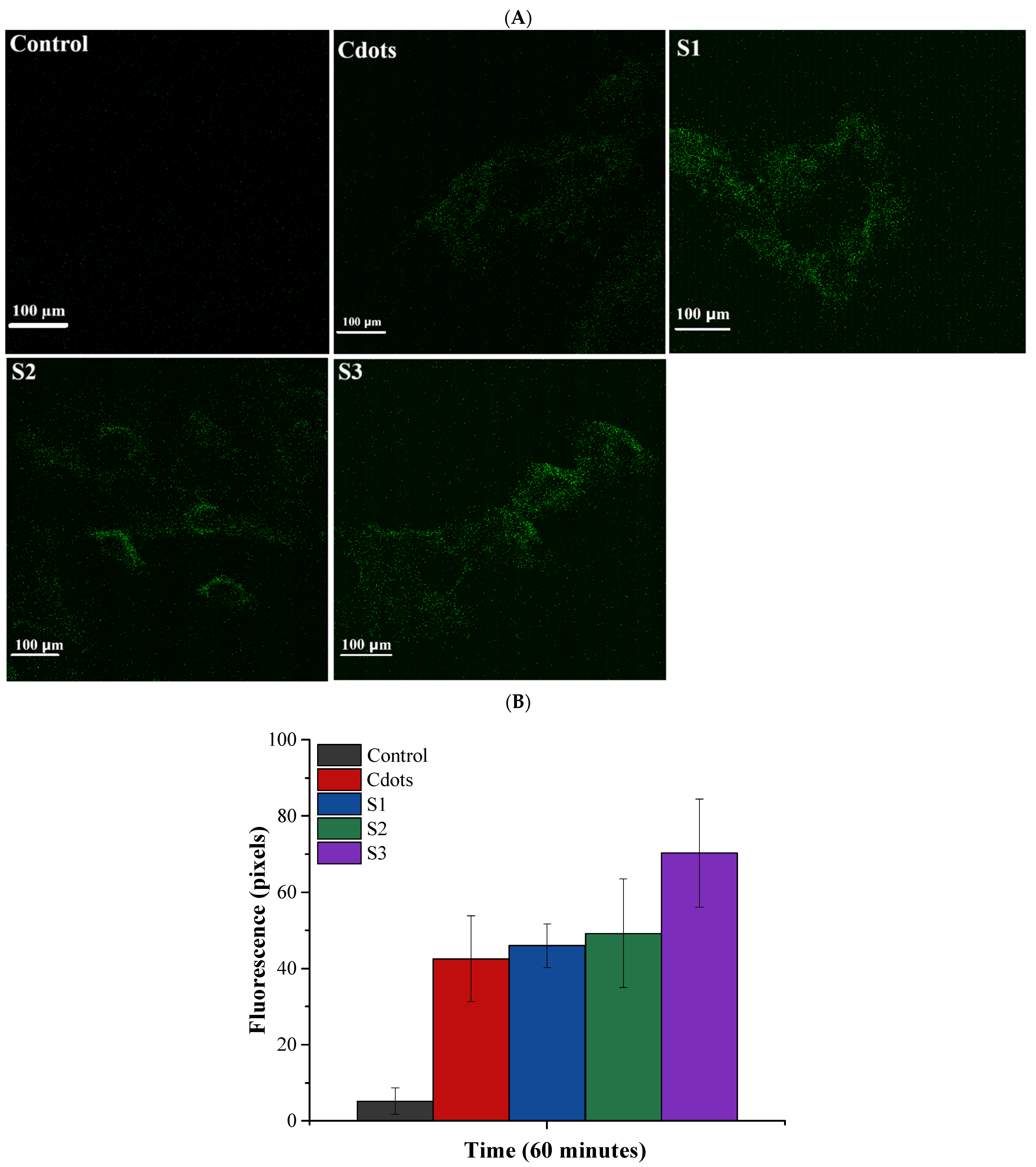 Pharmaceutics 16 01500 g012