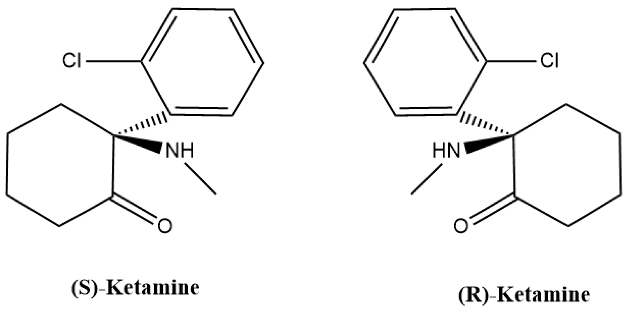 Pharmaceutics 16 01502 g001