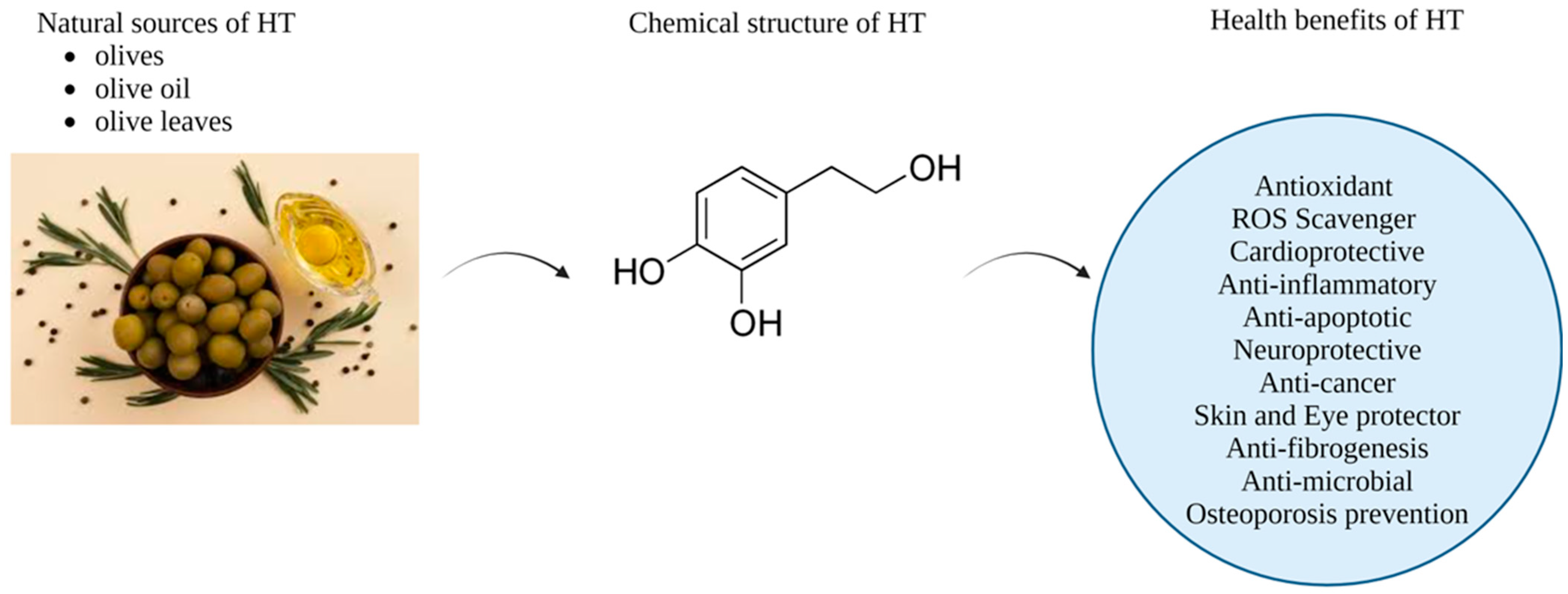 Pharmaceutics 16 01504 g001