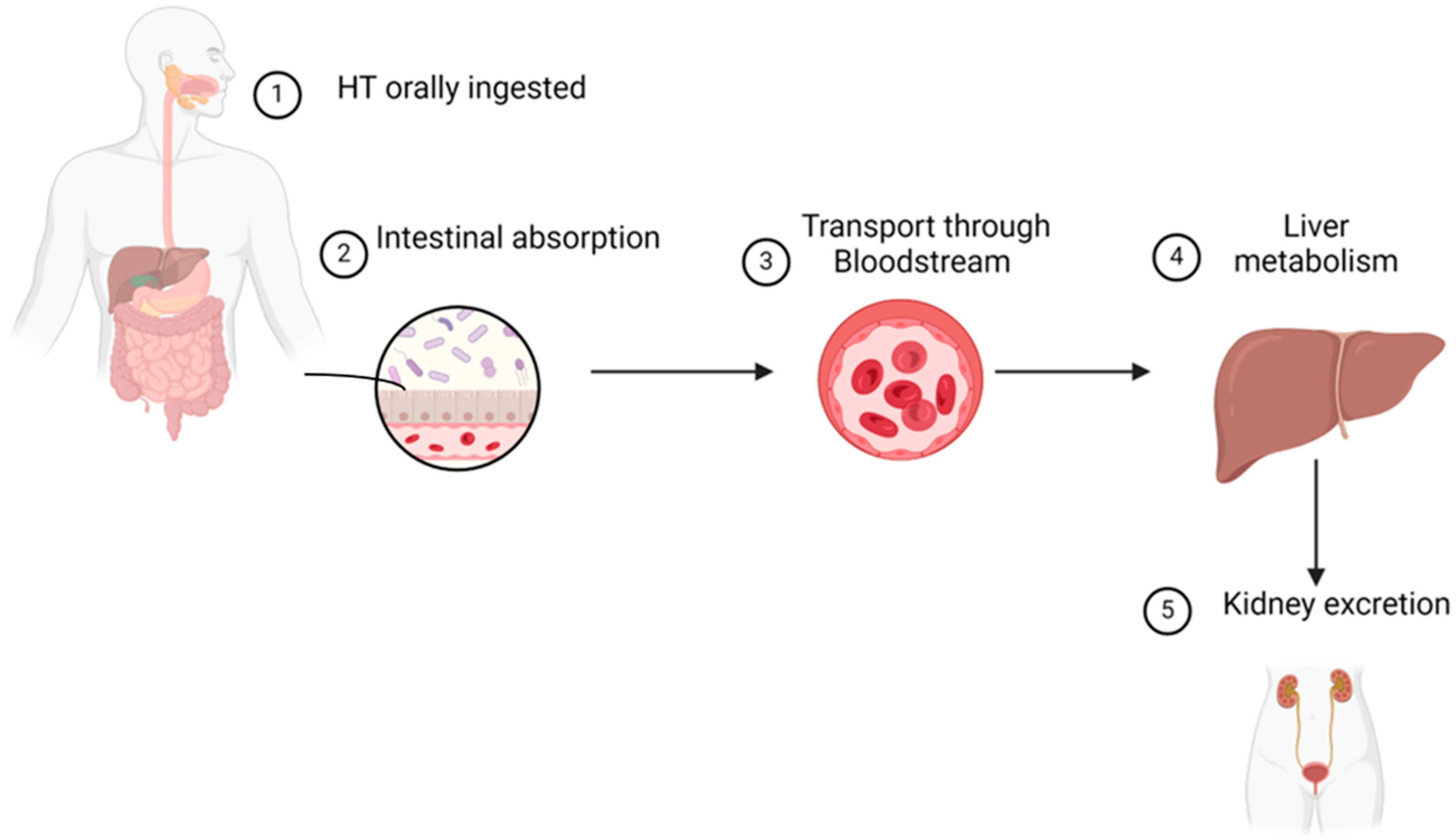Pharmaceutics 16 01504 g002