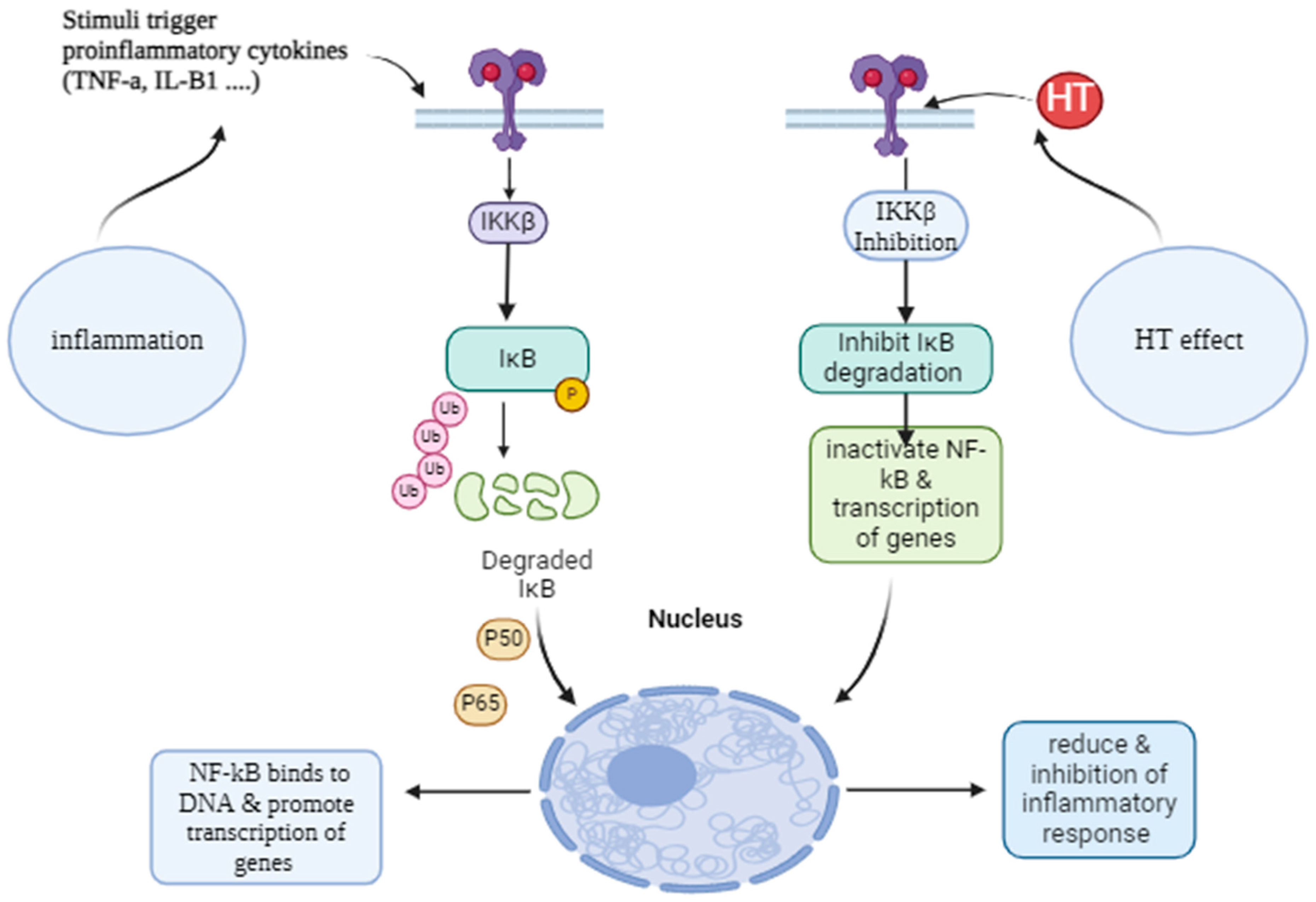 Pharmaceutics 16 01504 g003