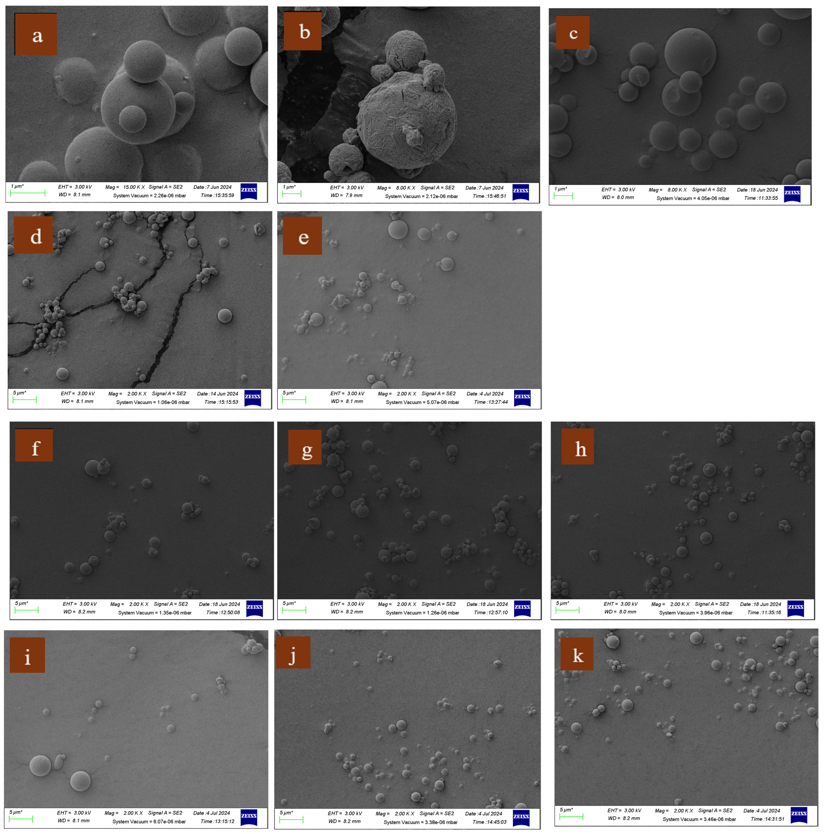 Pharmaceutics 16 01506 g001