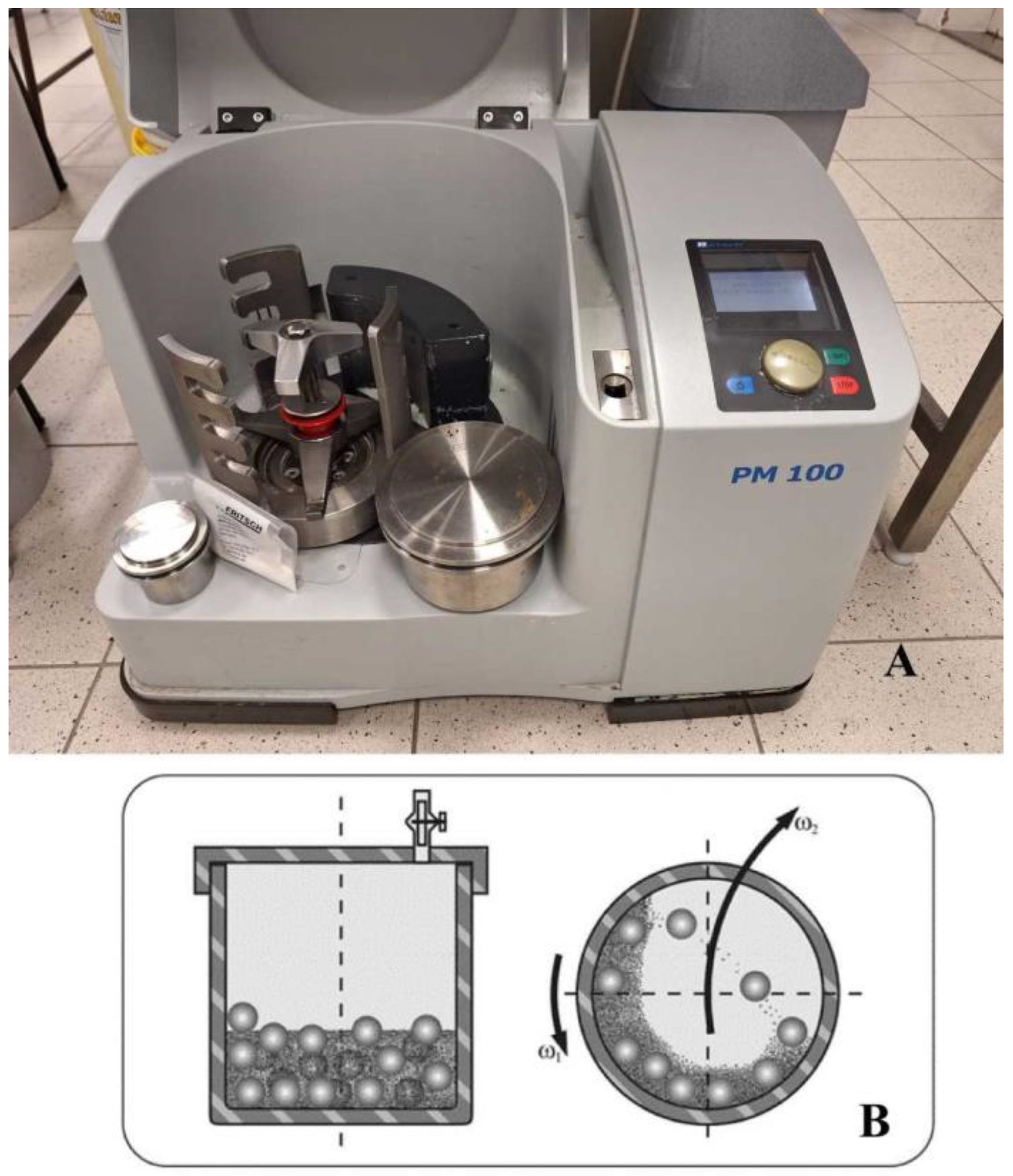 Pharmaceutics 16 01512 g001