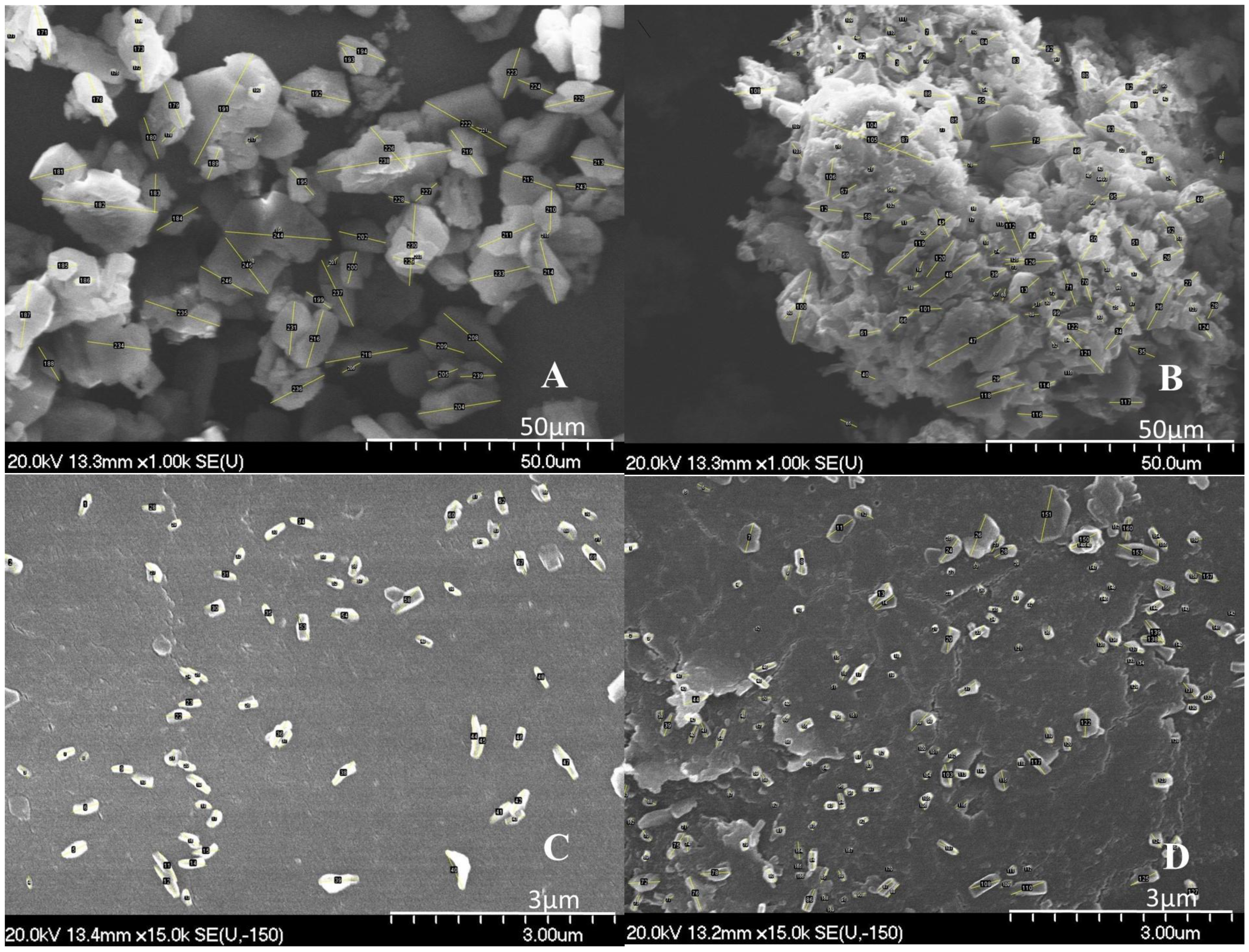Pharmaceutics 16 01512 g003