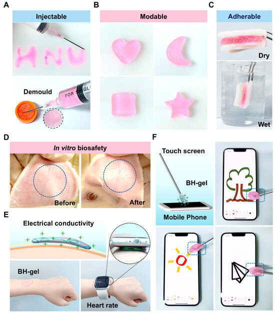 A Bait-and-Hook Hydrogel for Net Tumor Cells to Enhance