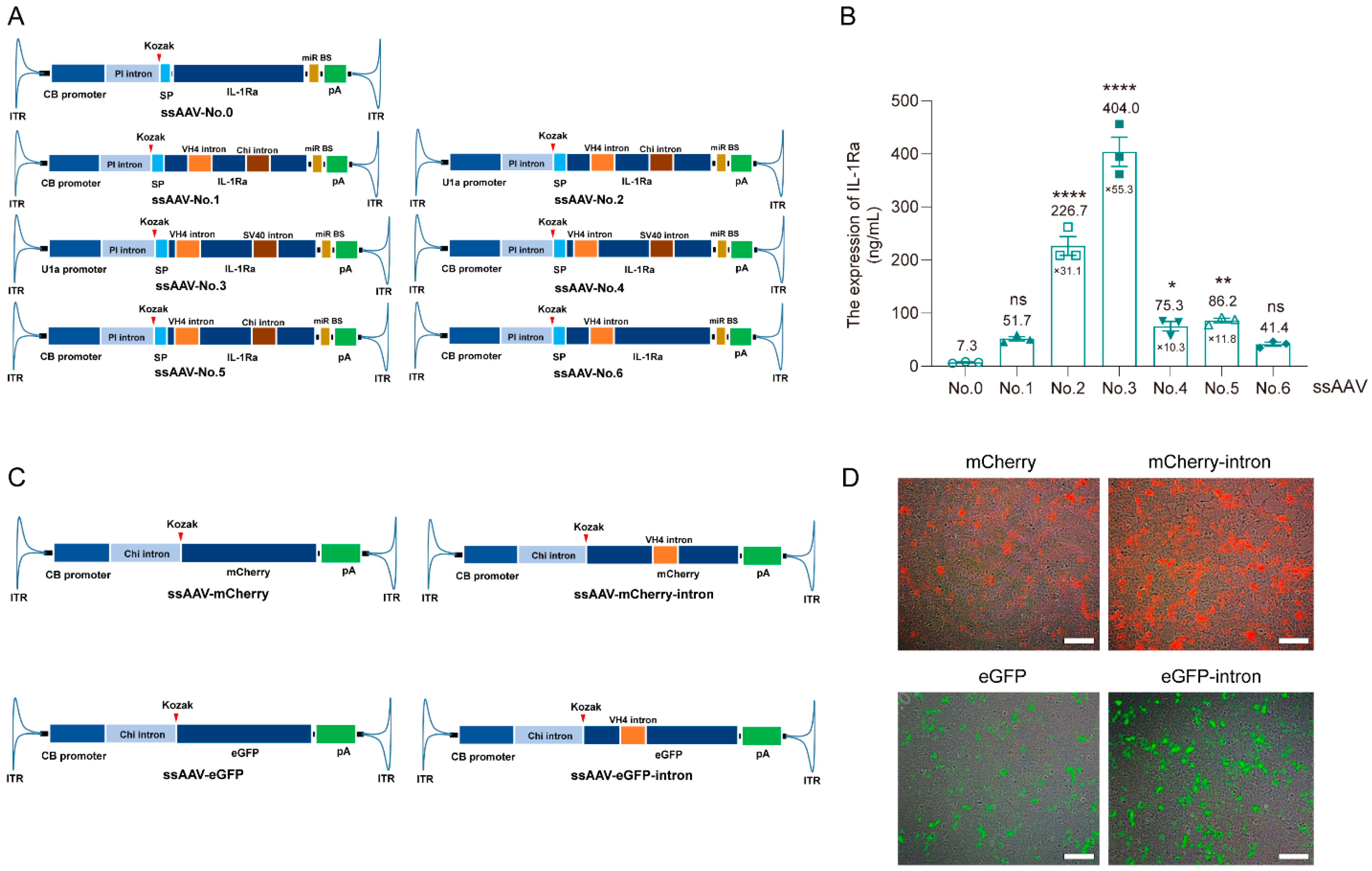 Pharmaceutics 16 01518 g001