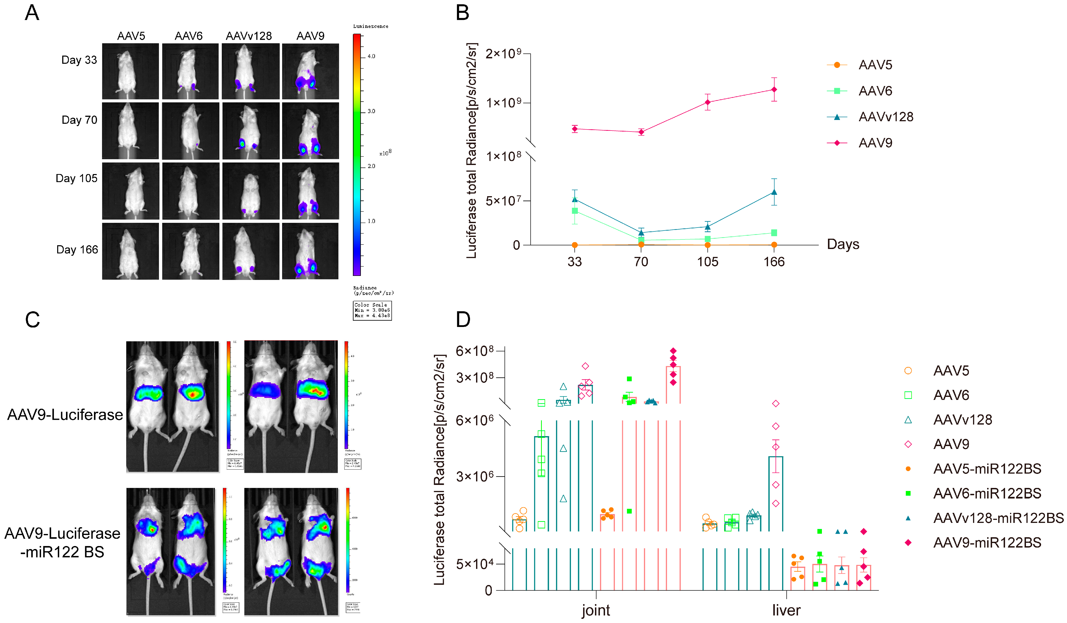 Pharmaceutics 16 01518 g002