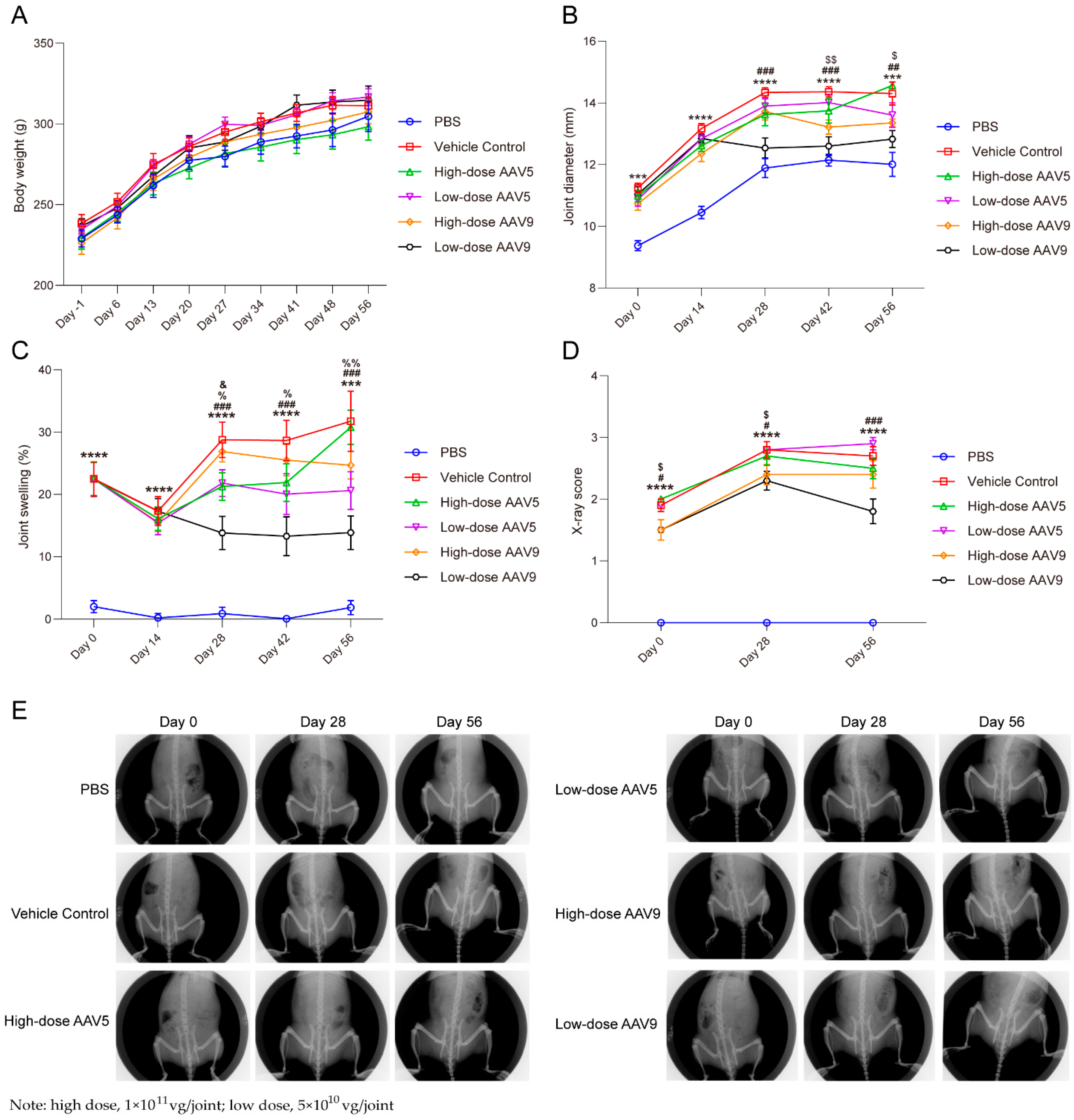 Pharmaceutics 16 01518 g003