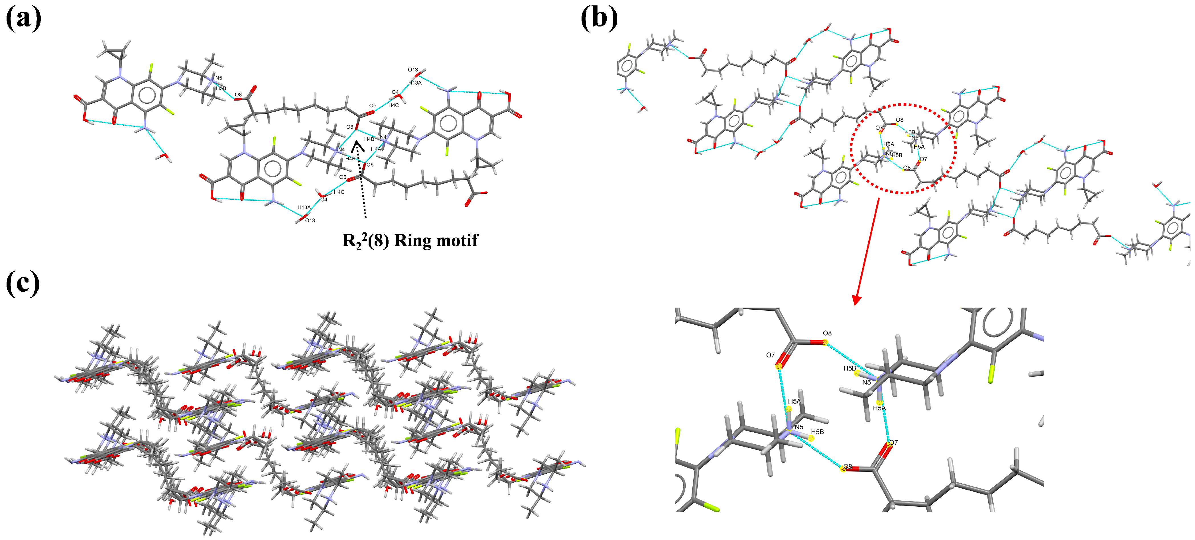 Pharmaceutics 16 01519 g003 Pharmaceutics 16 01519 g003