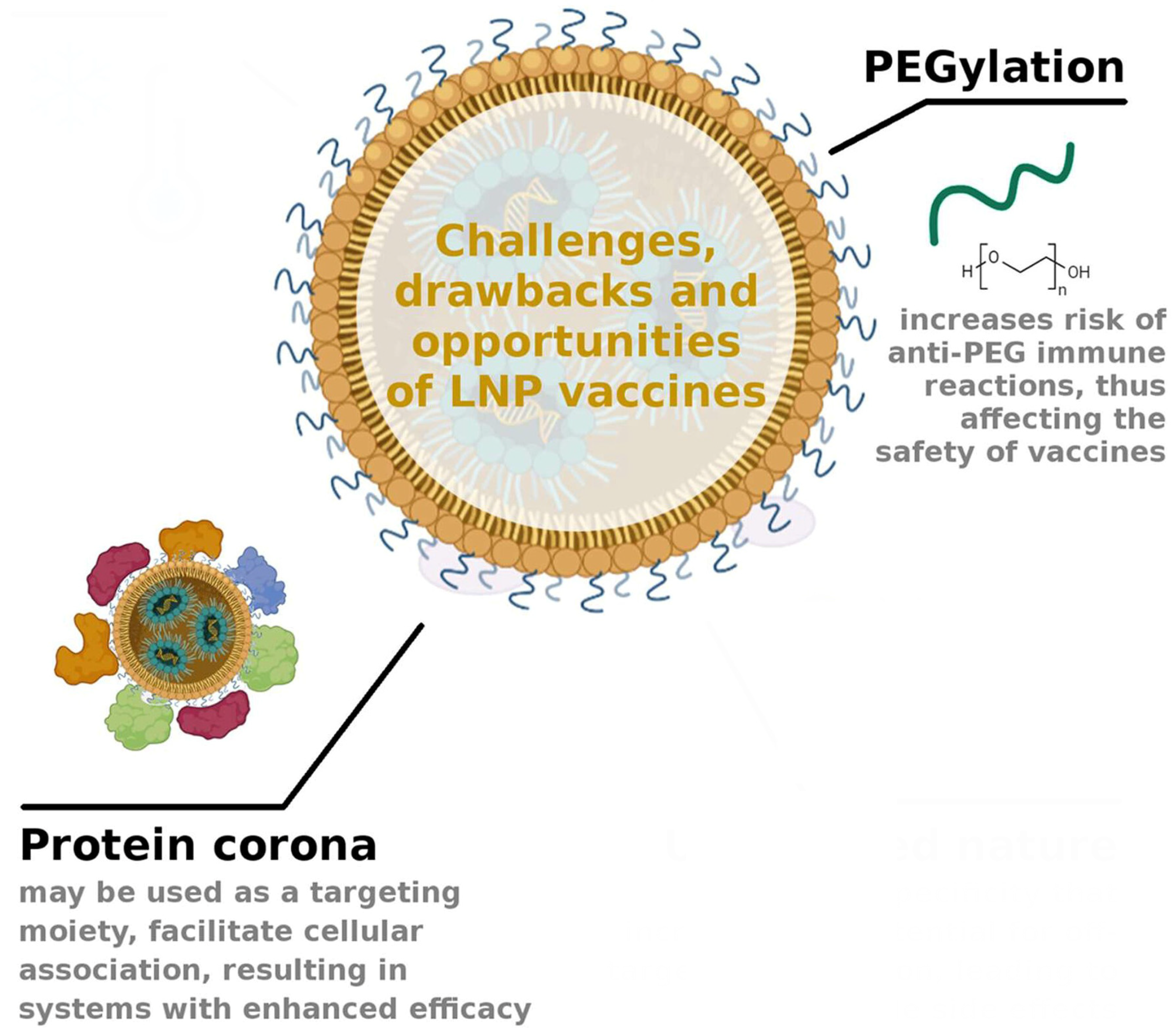 Pharmaceutics 16 01521 g006