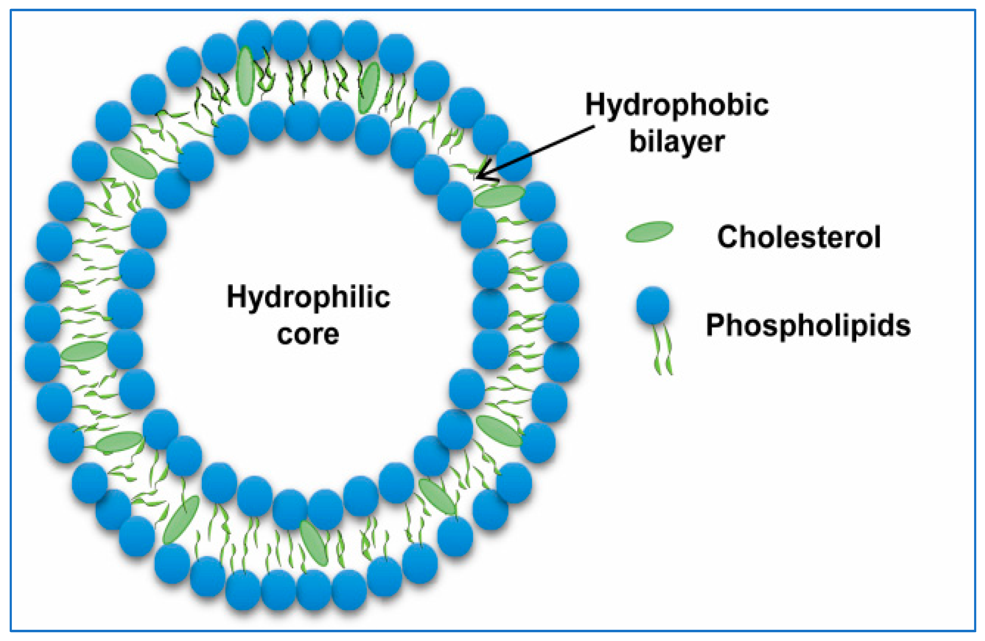 Pharmaceutics 16 01527 g003