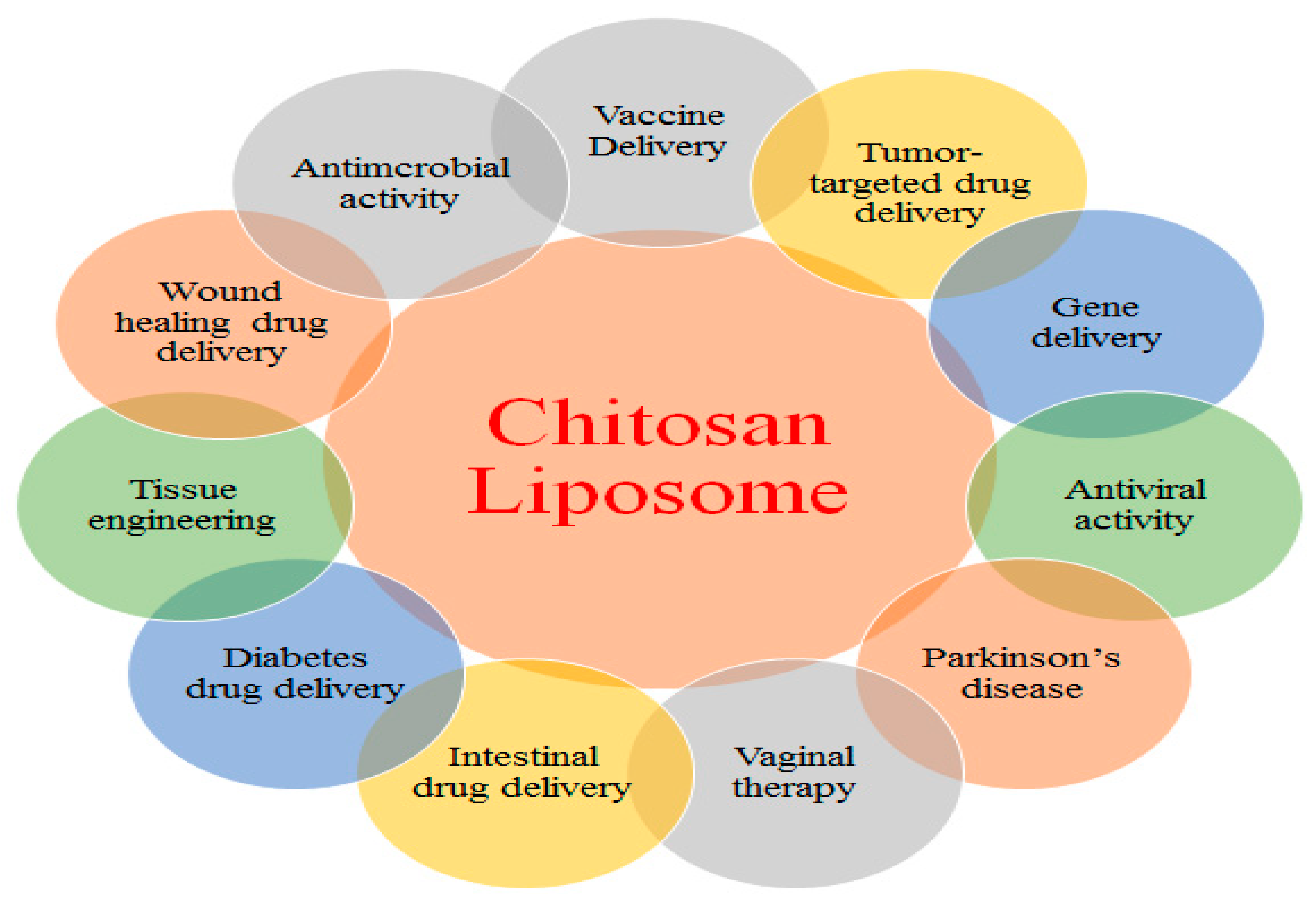 Pharmaceutics 16 01527 g006