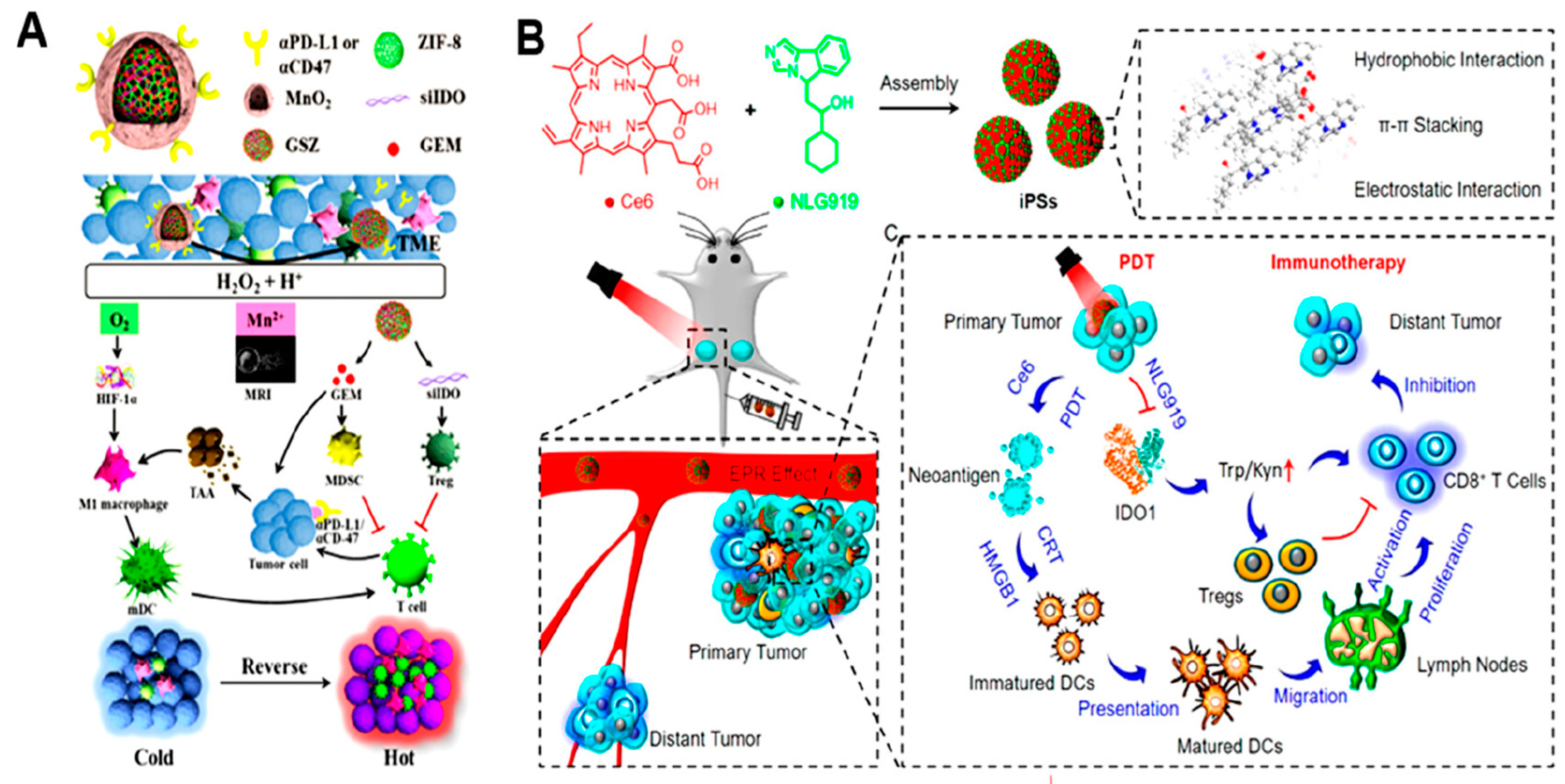 Pharmaceutics 16 01527 g012