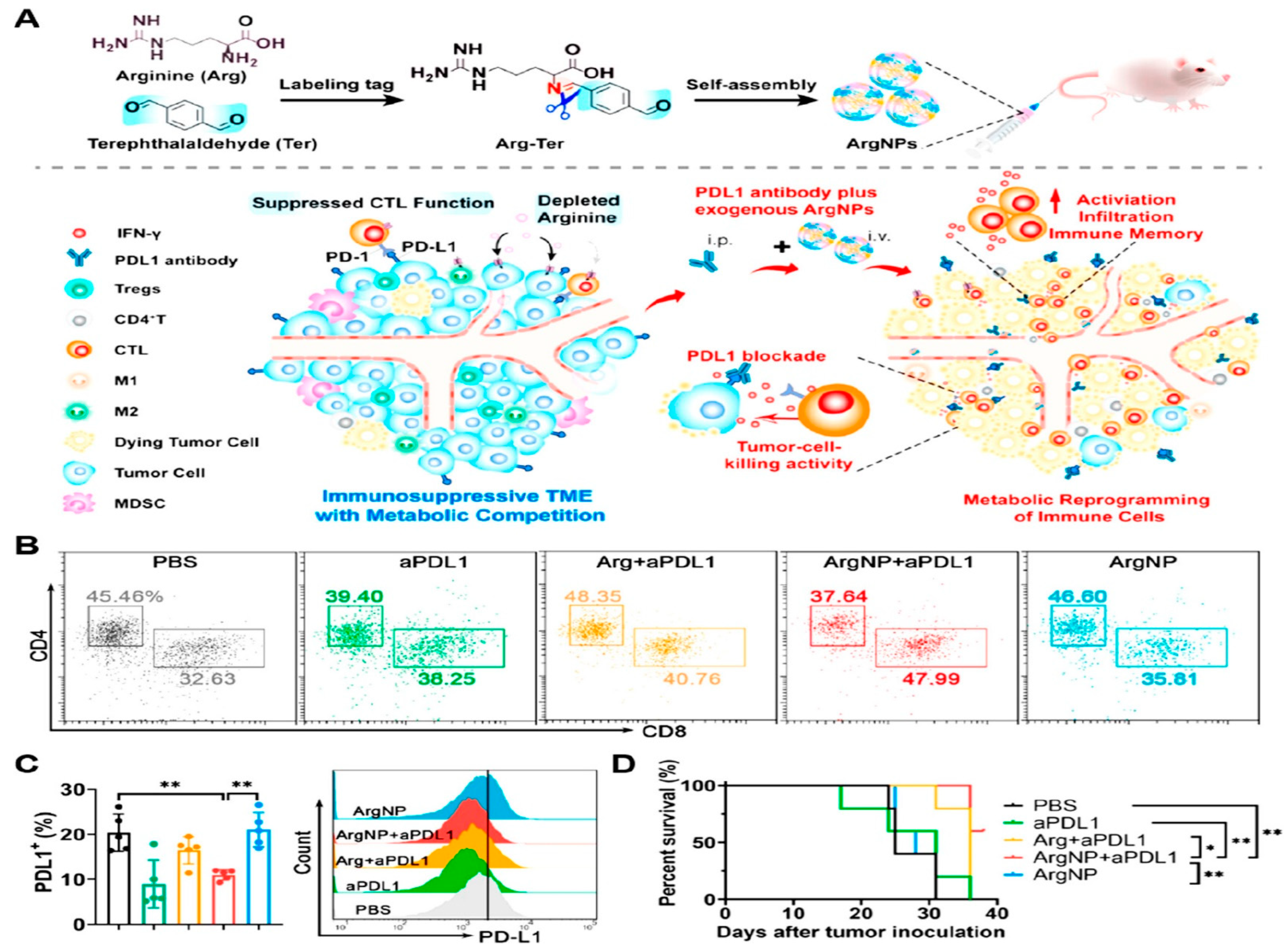 Pharmaceutics 16 01527 g013