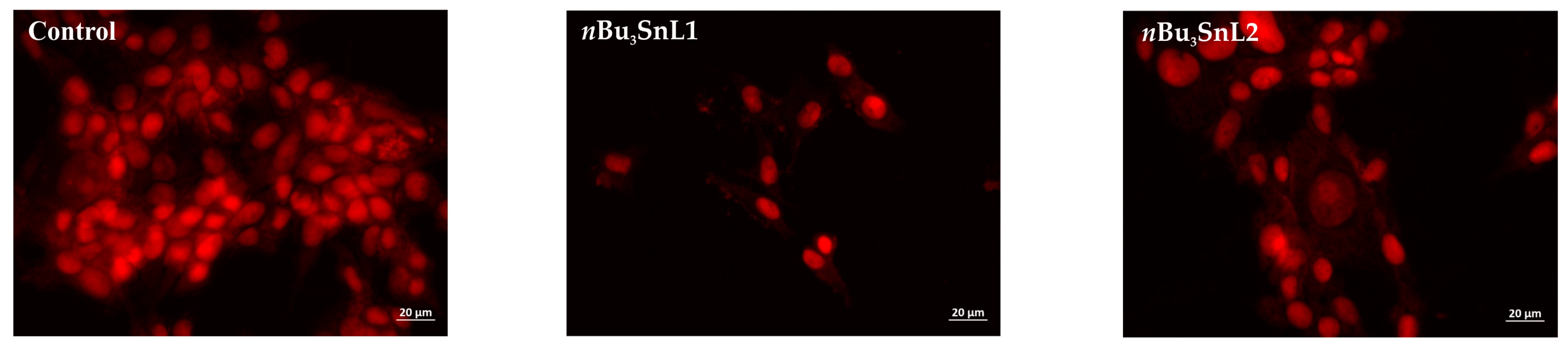 Pharmaceutics 16 01529 g005