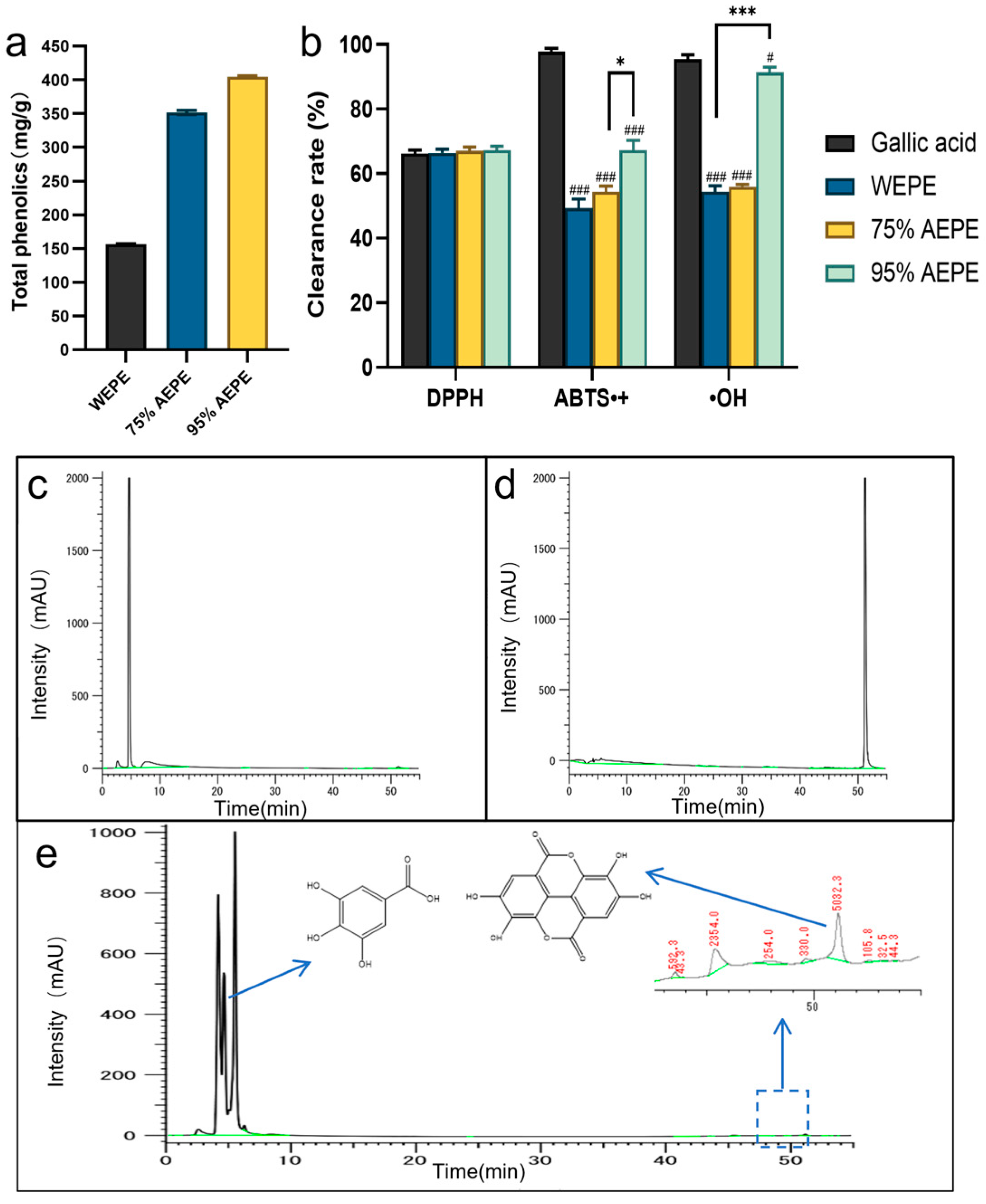 Pharmaceutics 16 01531 g001