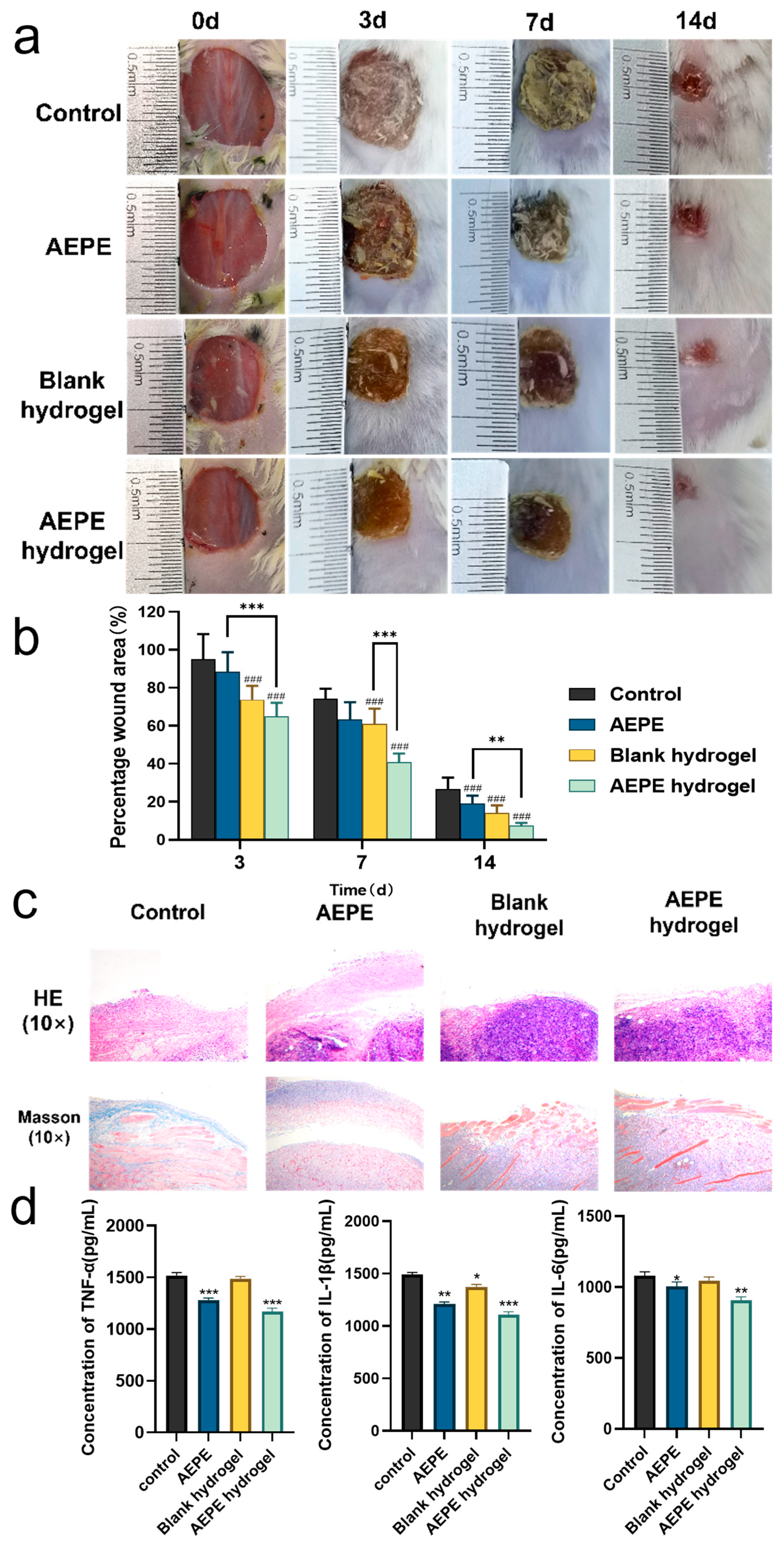 Pharmaceutics 16 01531 g005