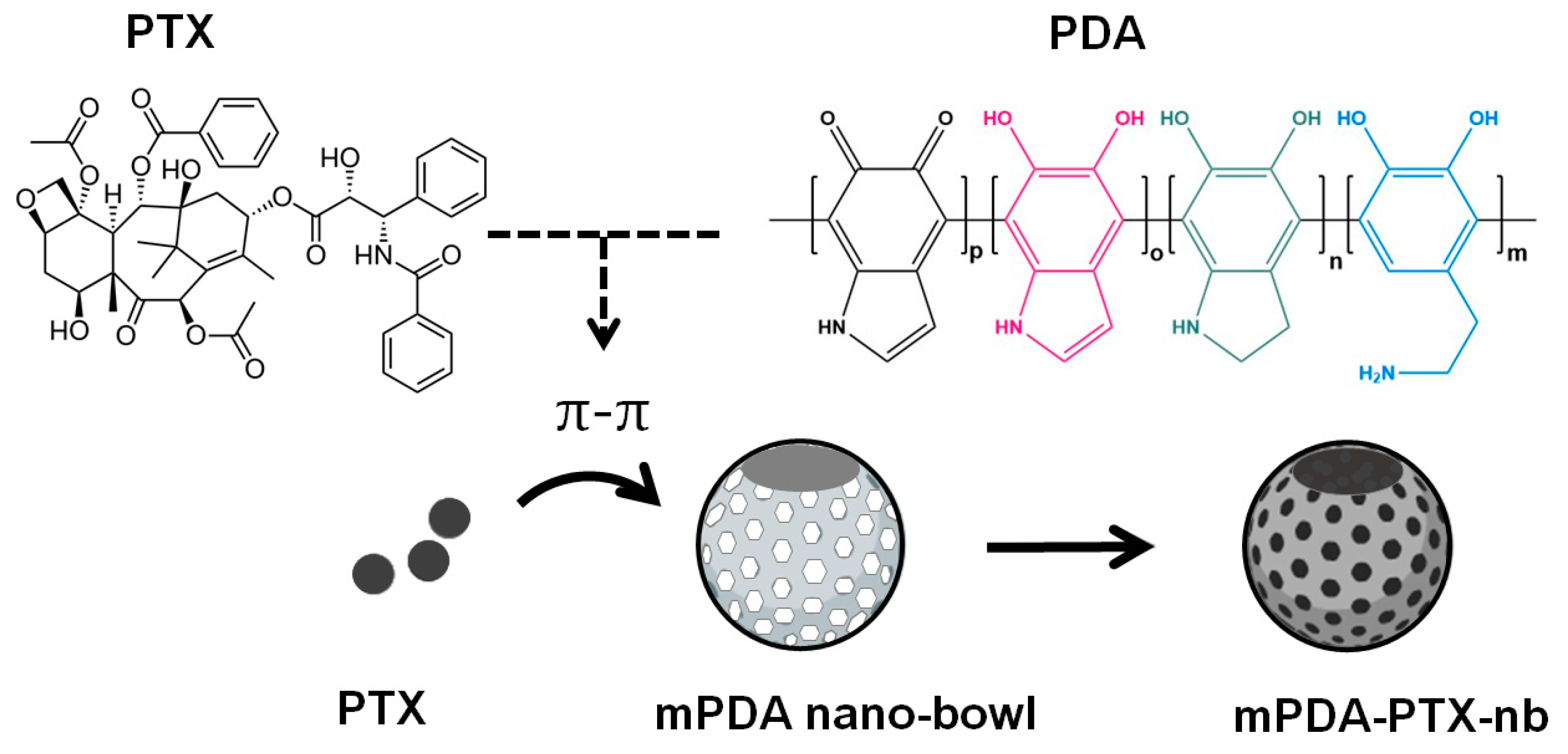 Pharmaceutics 16 01536 g001