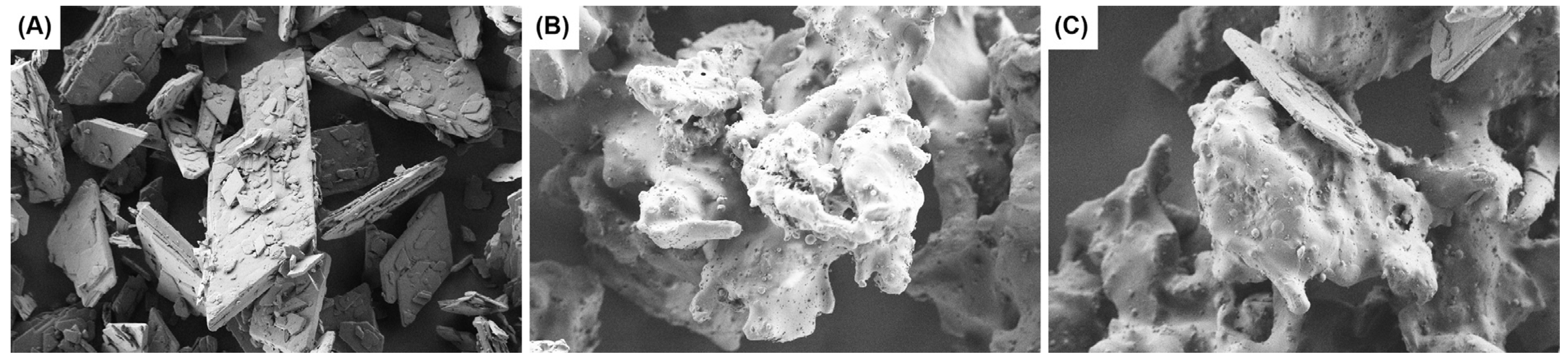 Pharmaceutics 16 01538 g002