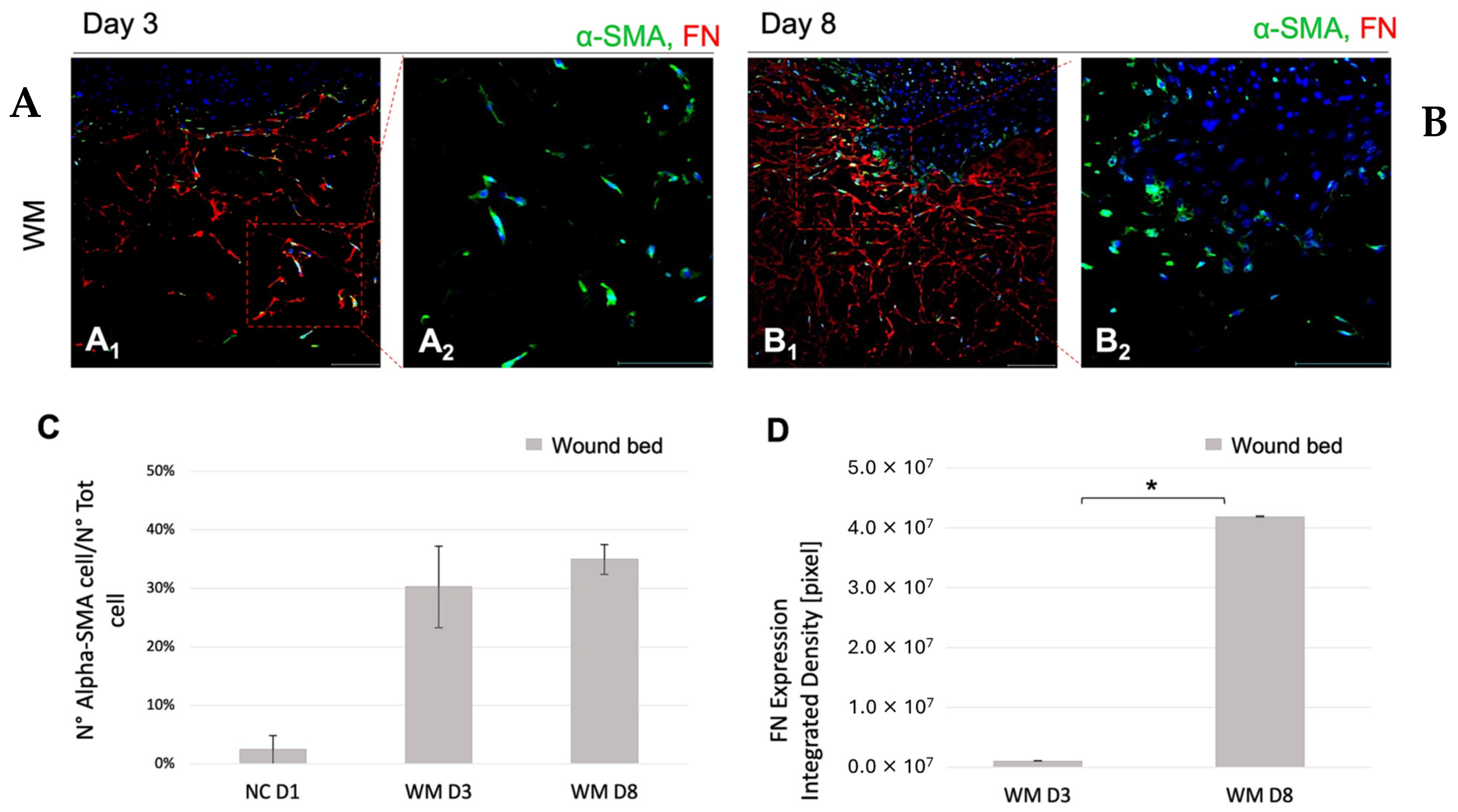 Pharmaceutics 16 01539 g006 Pharmaceutics 16 01539 g006