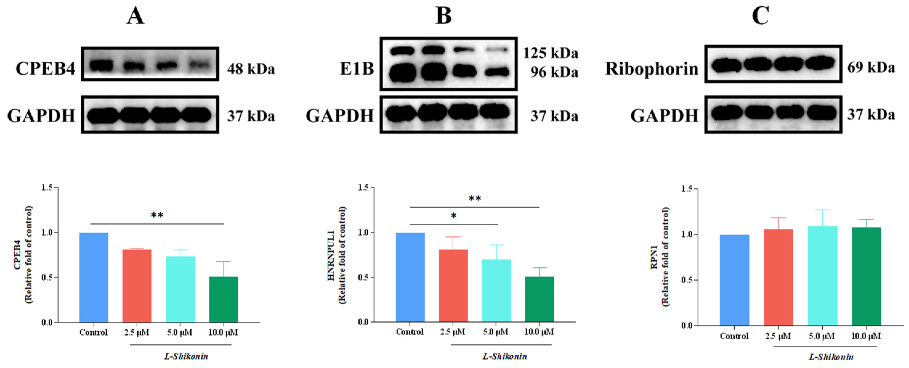 Pharmaceutics 16 01543 g011