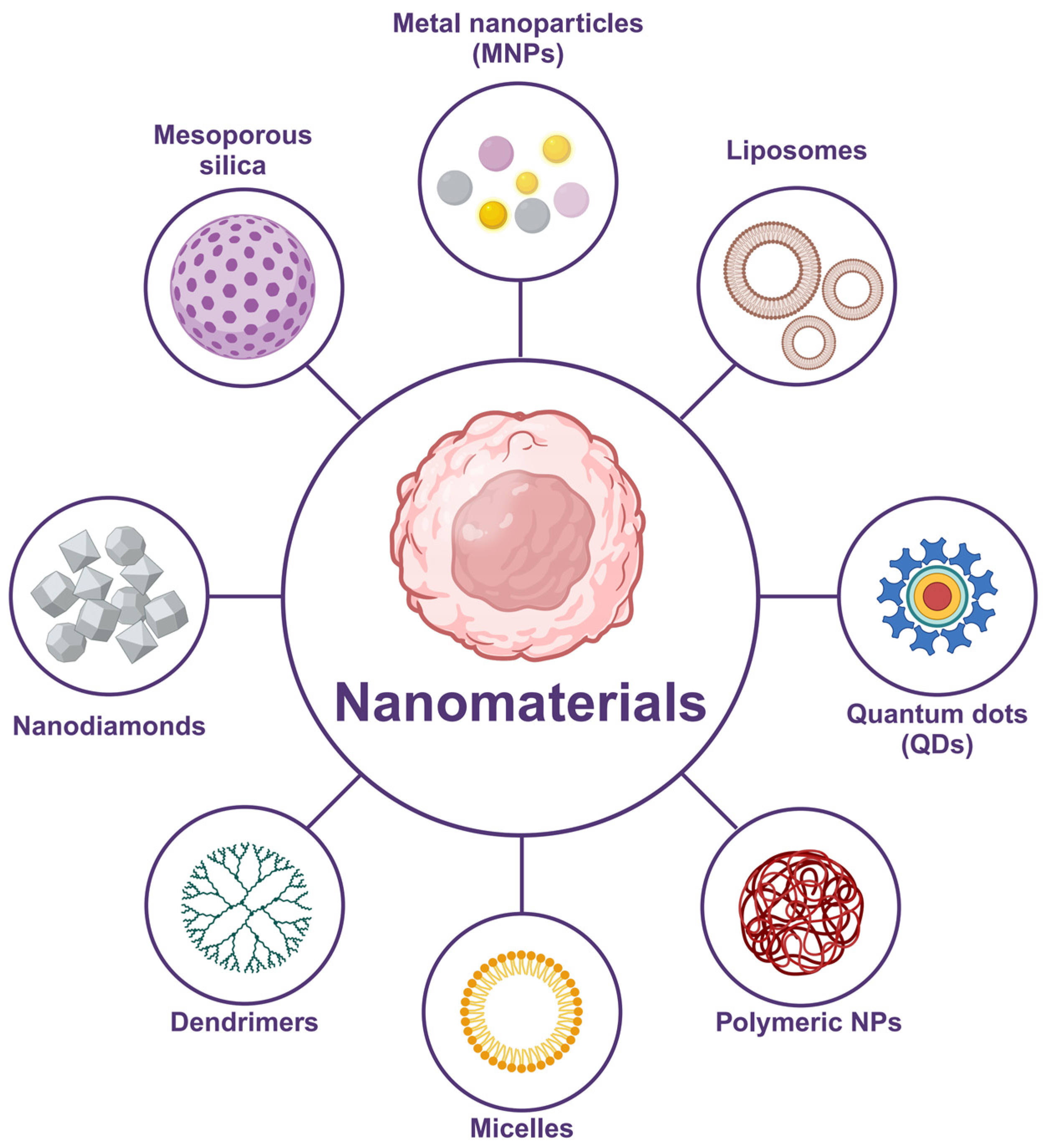 Pharmaceutics 16 01549 g002