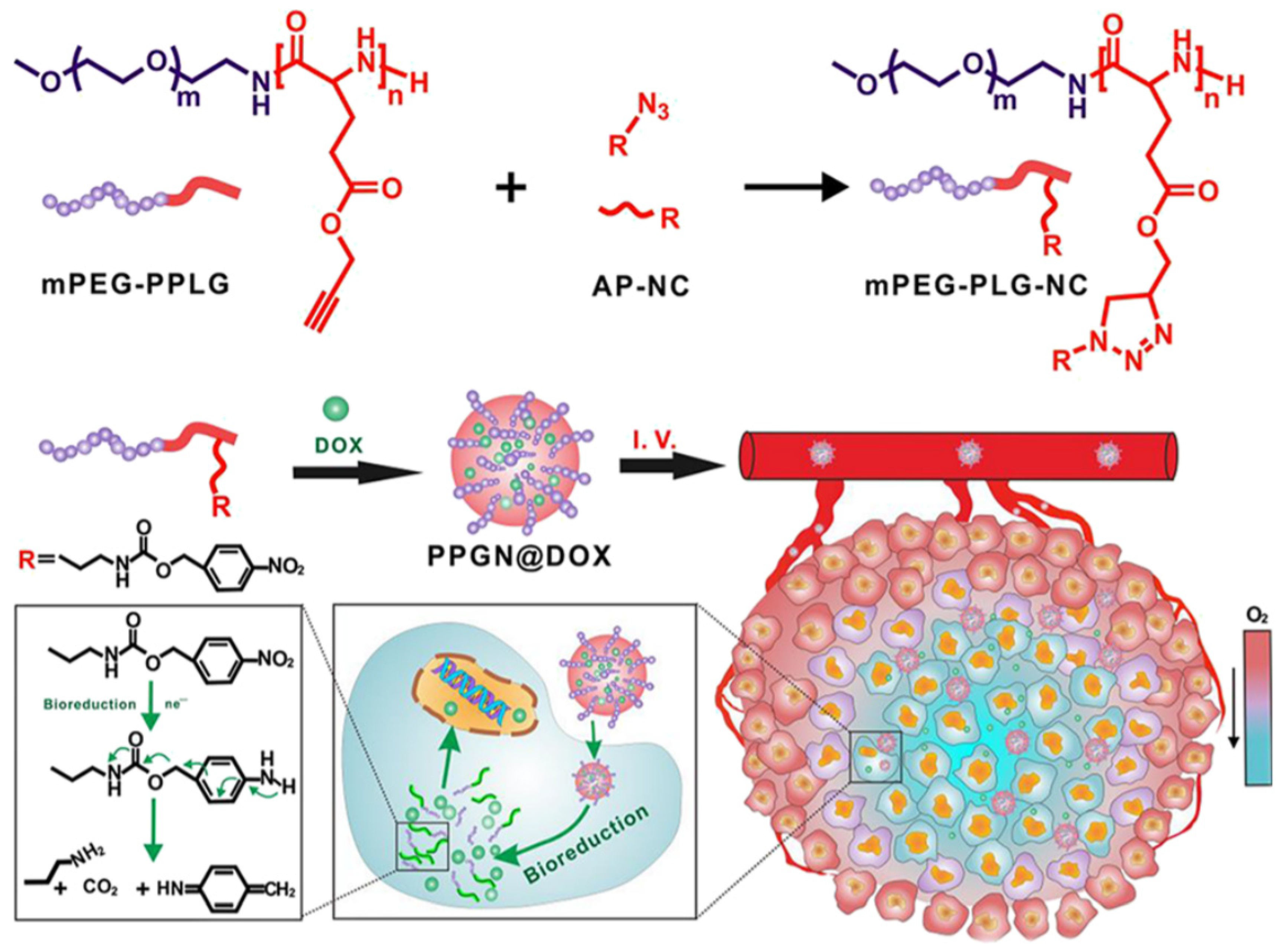 Pharmaceutics 16 01549 g003