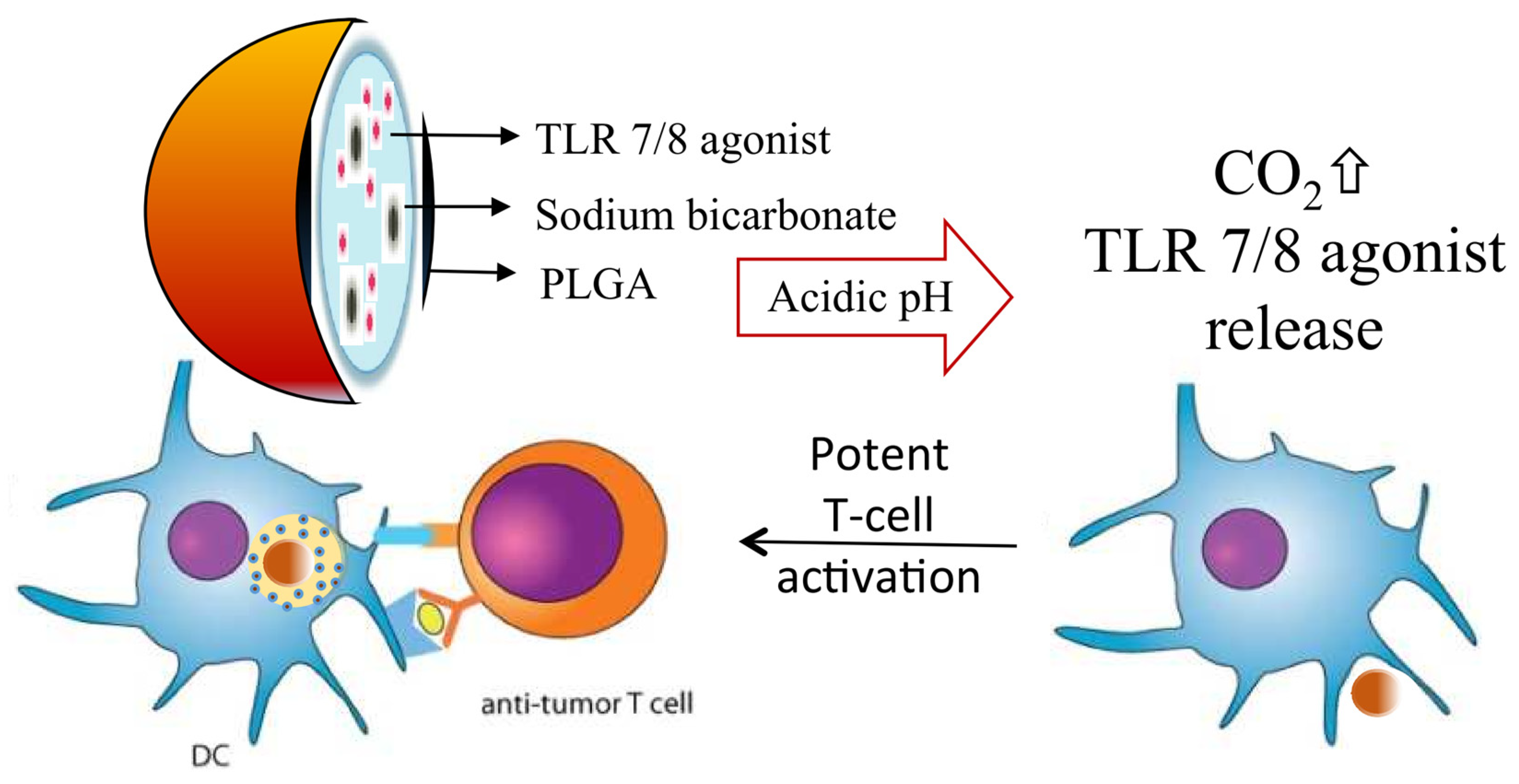 Pharmaceutics 16 01549 g004