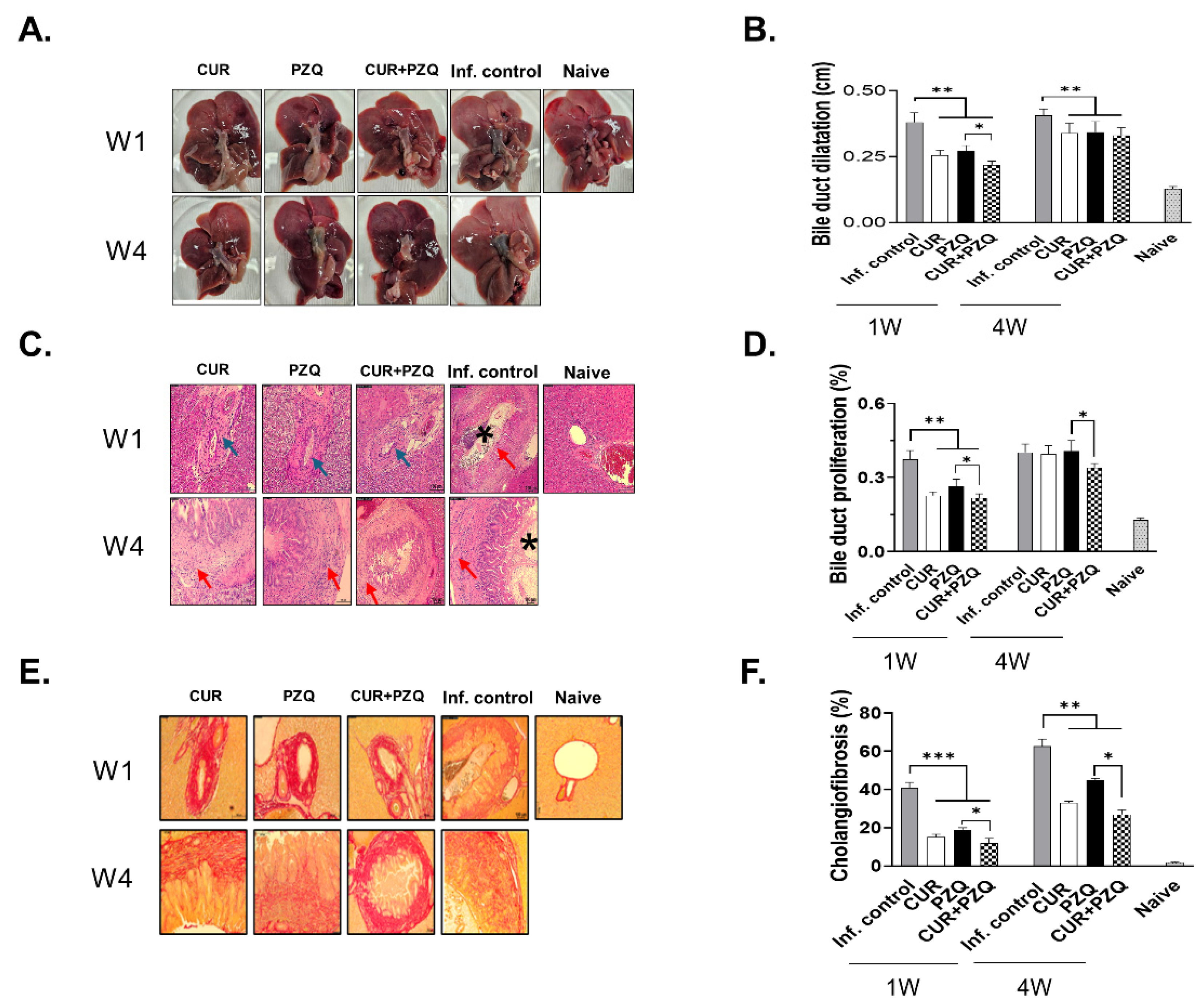 Pharmaceutics 16 01550 g006