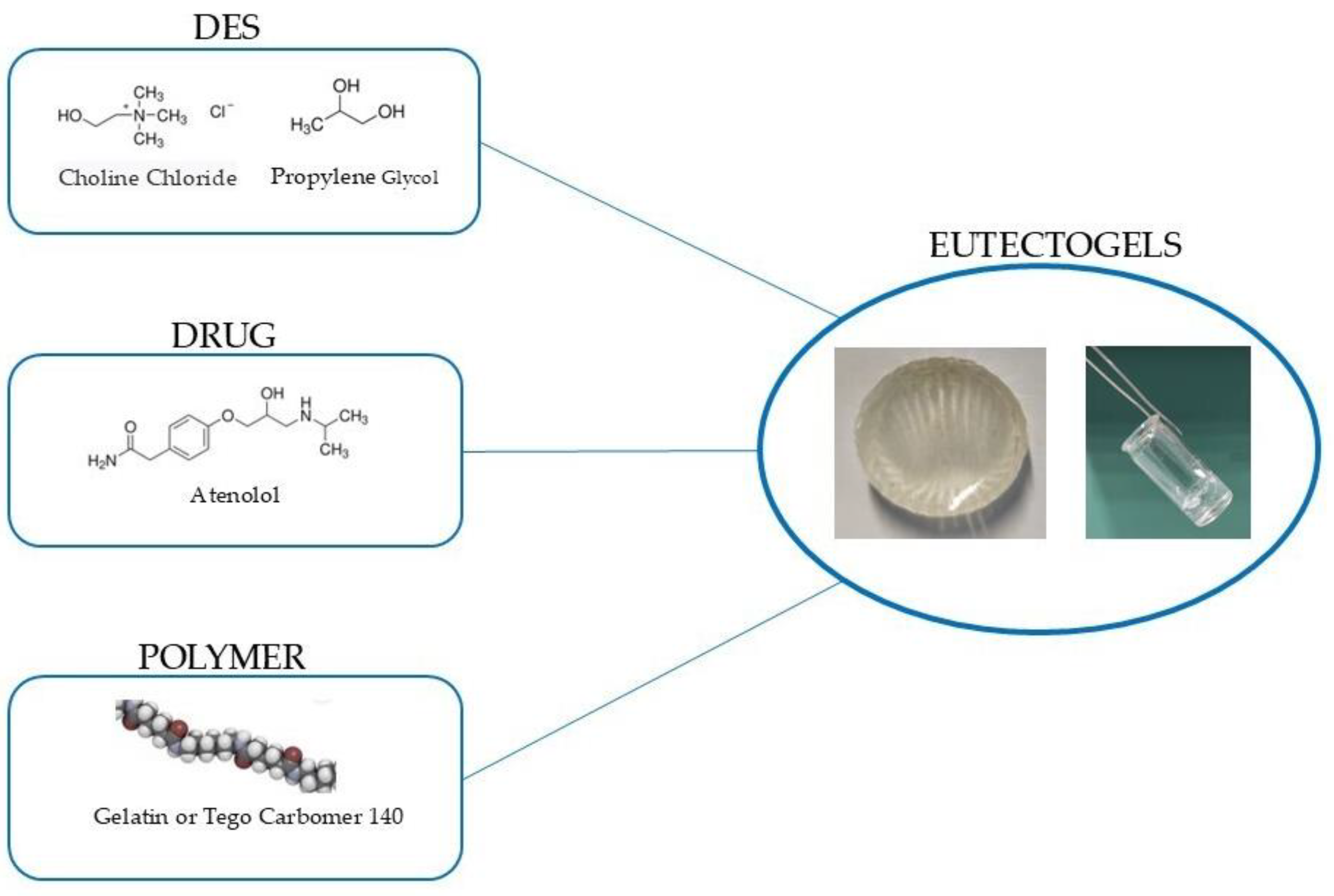 Pharmaceutics 16 01552 g001