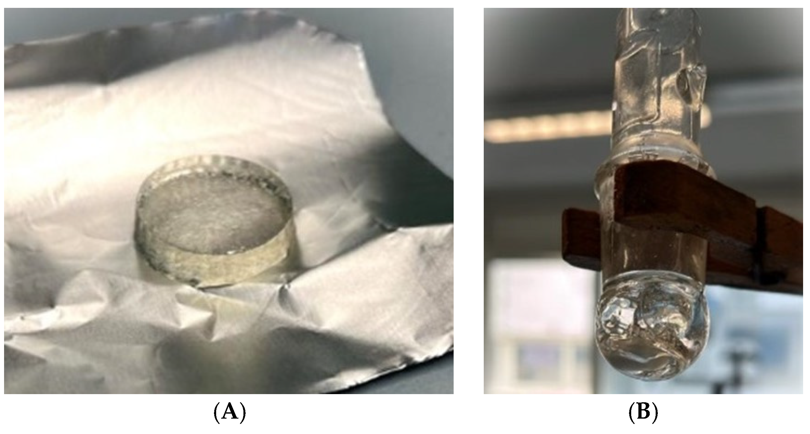 Pharmaceutics 16 01552 g008