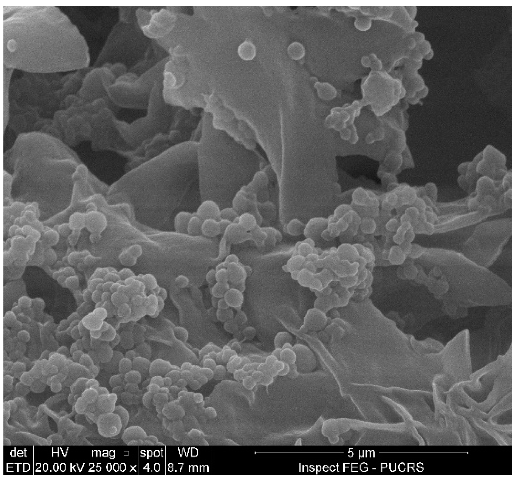 Pharmaceutics 16 01560 g001