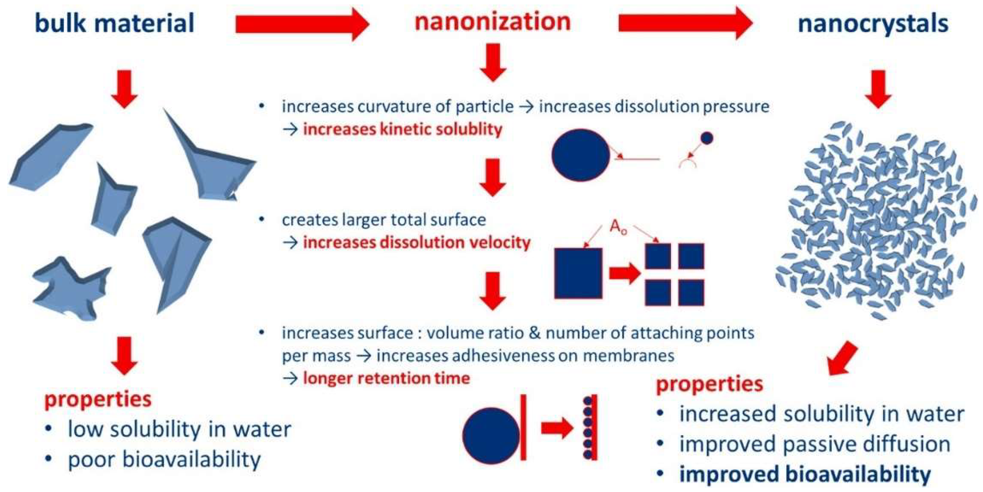 Pharmaceutics 16 01561 g003 Pharmaceutics 16 01561 g003
