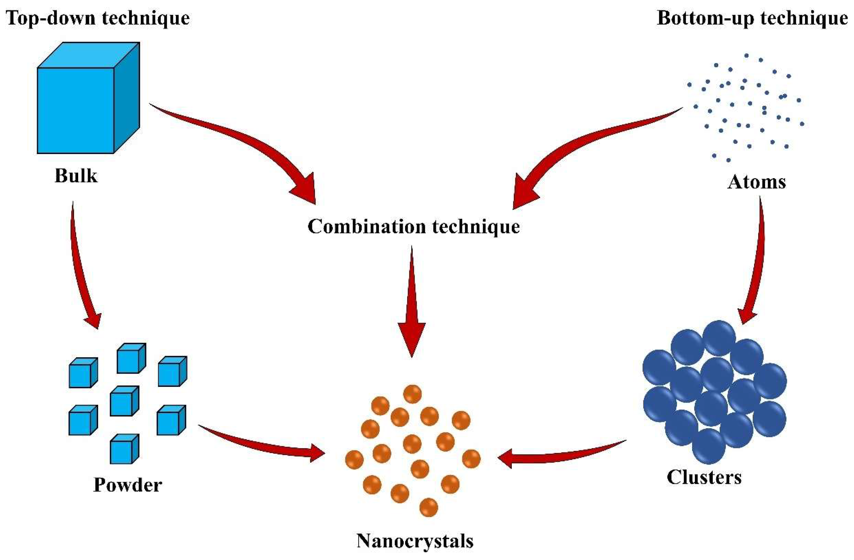 Pharmaceutics 16 01561 g004 Pharmaceutics 16 01561 g004