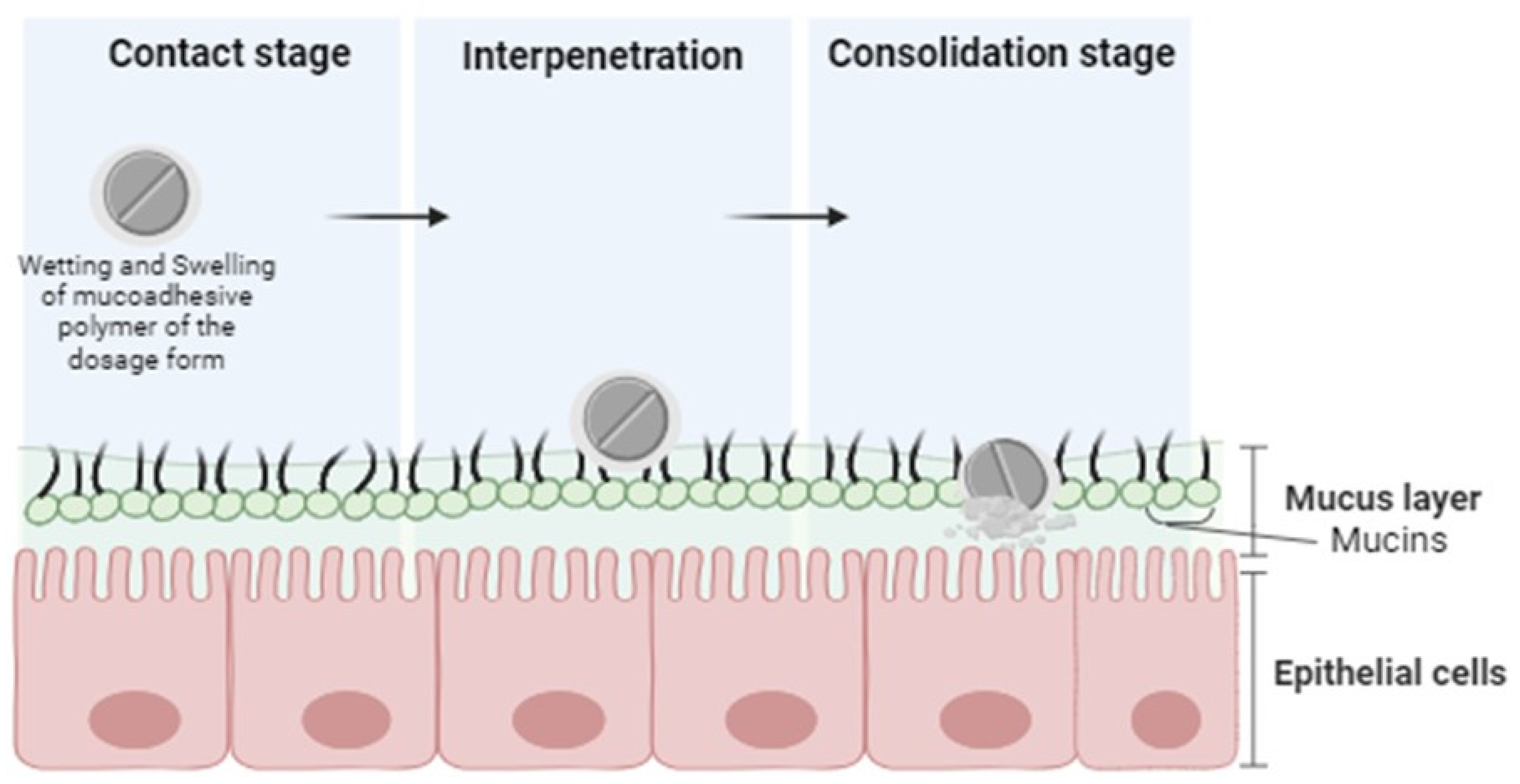 Pharmaceutics 16 01563 g001