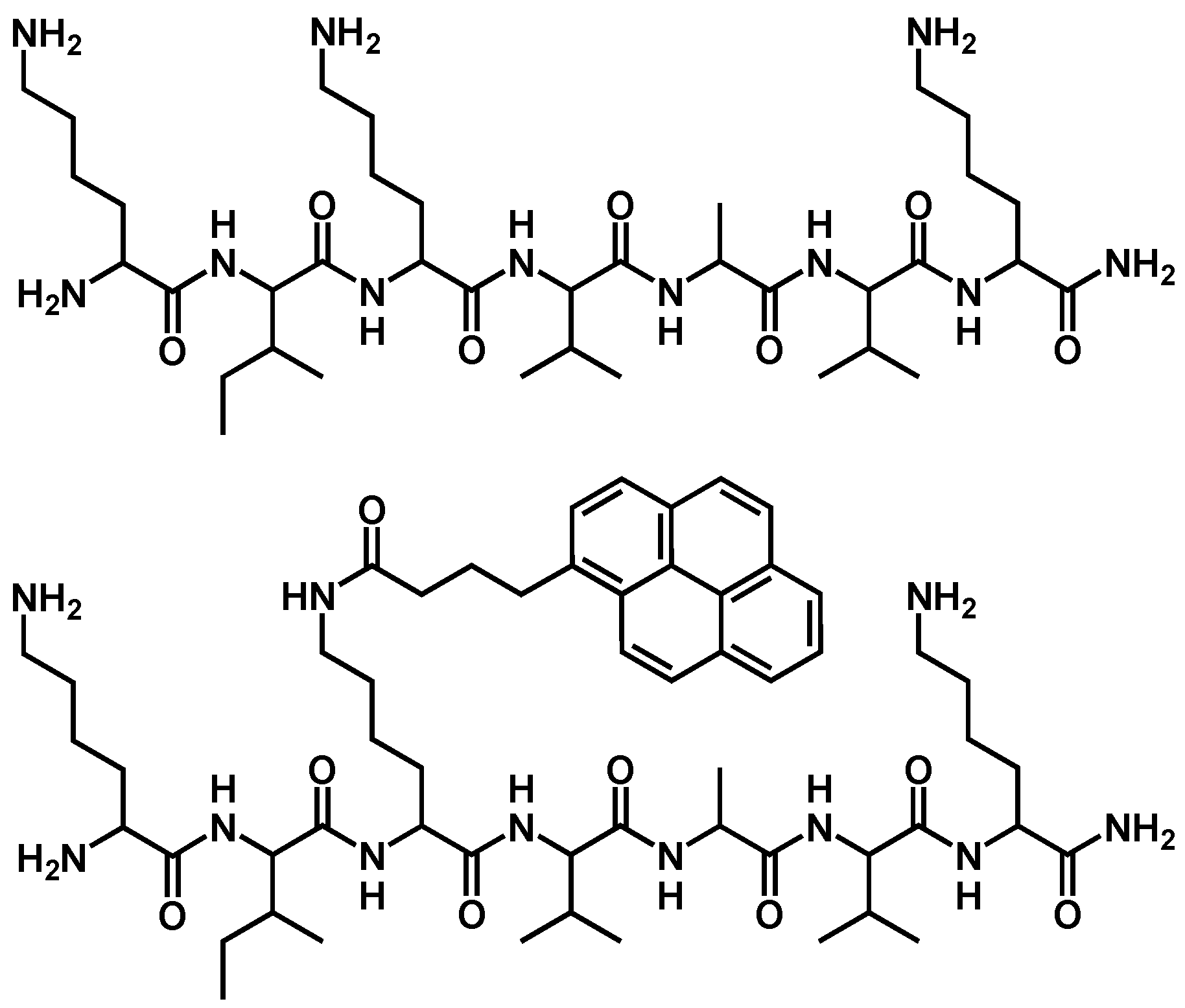 Pharmaceutics 16 01569 g001
