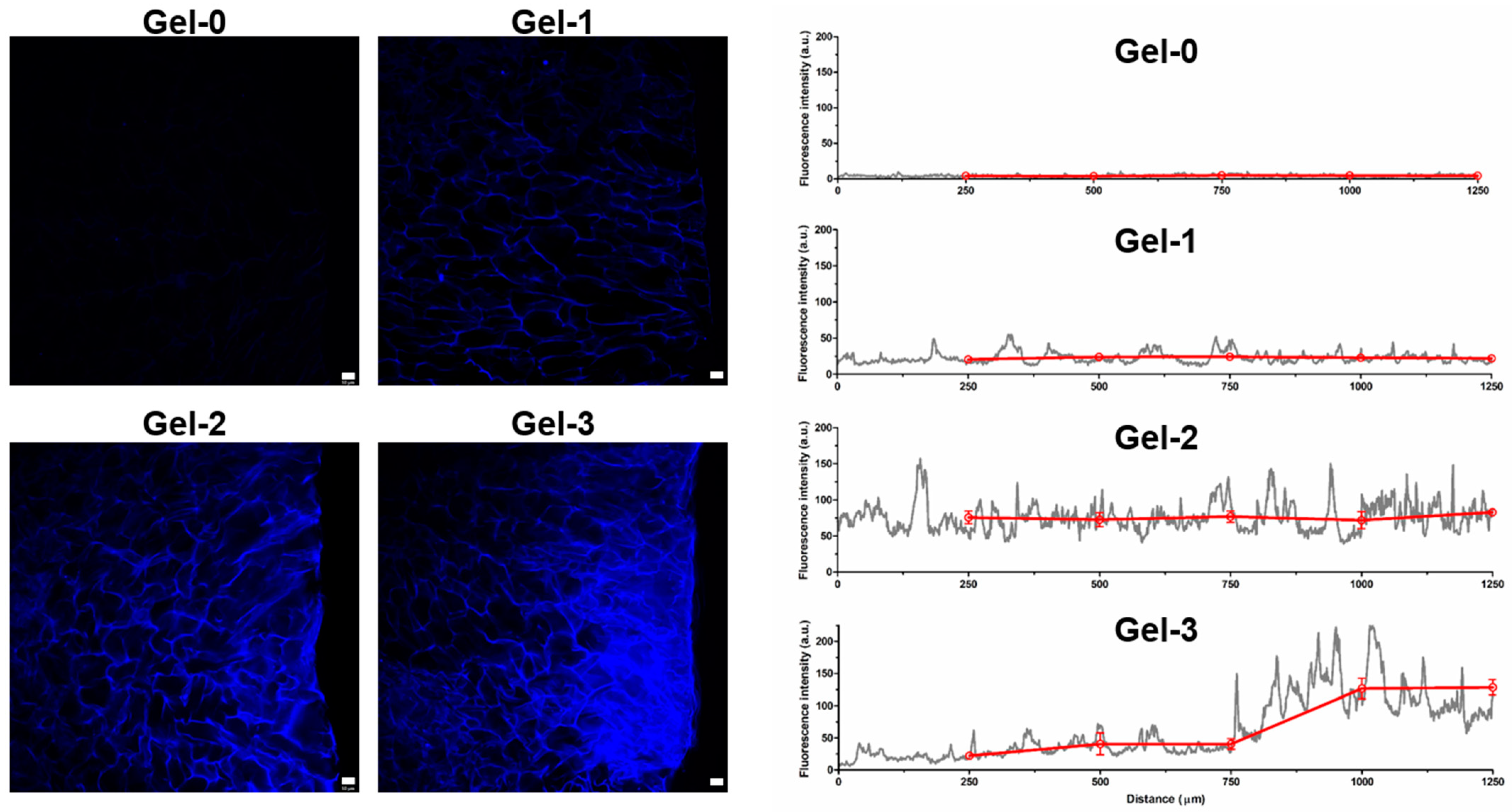 Pharmaceutics 16 01569 g004
