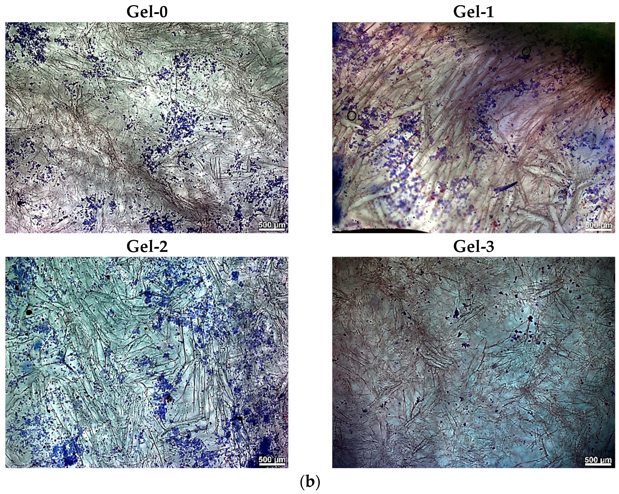 Pharmaceutics 16 01569 g005b