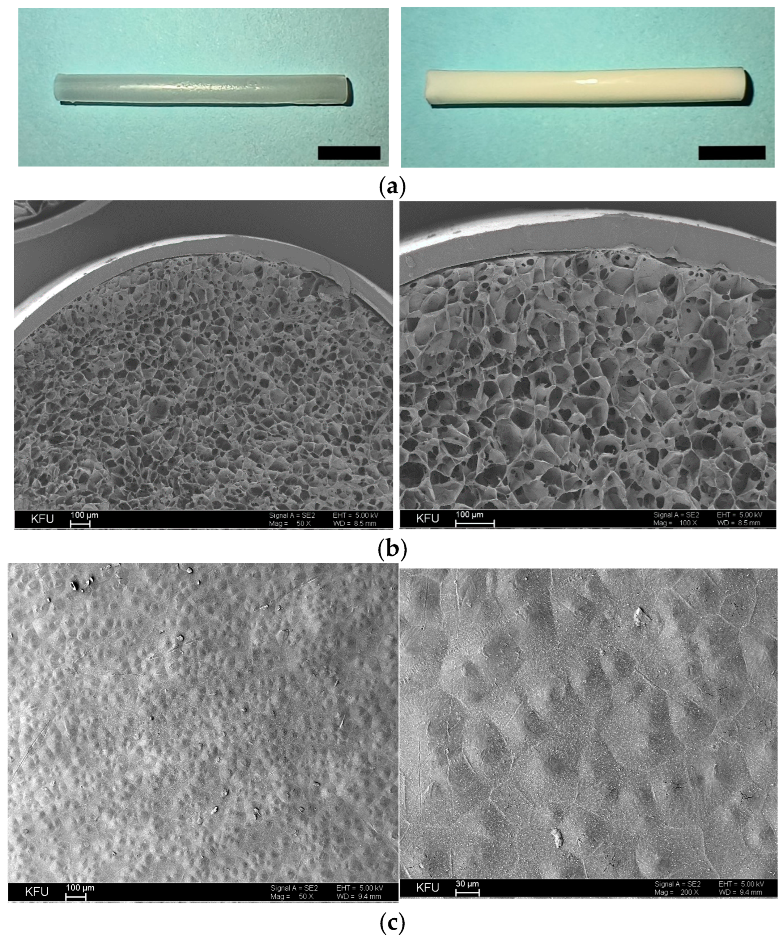 Pharmaceutics 16 01569 g007