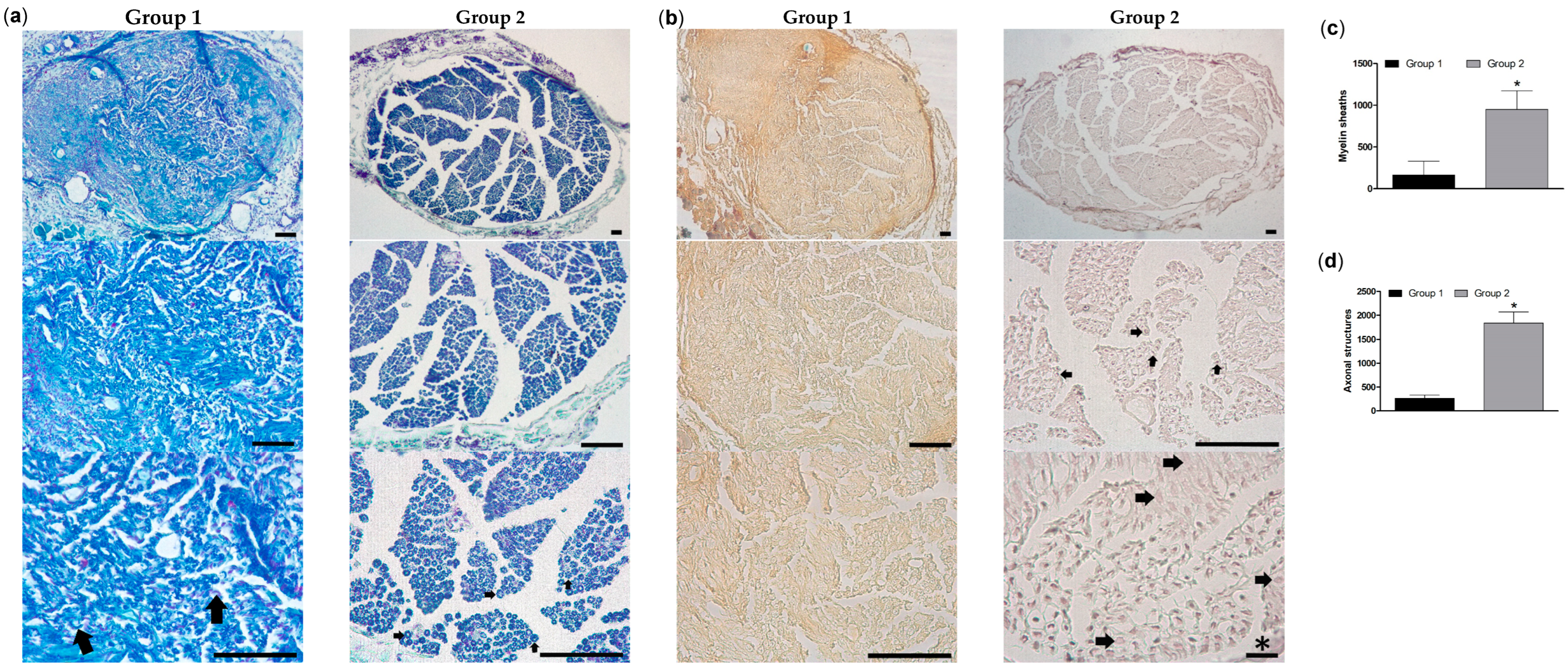 Pharmaceutics 16 01569 g011